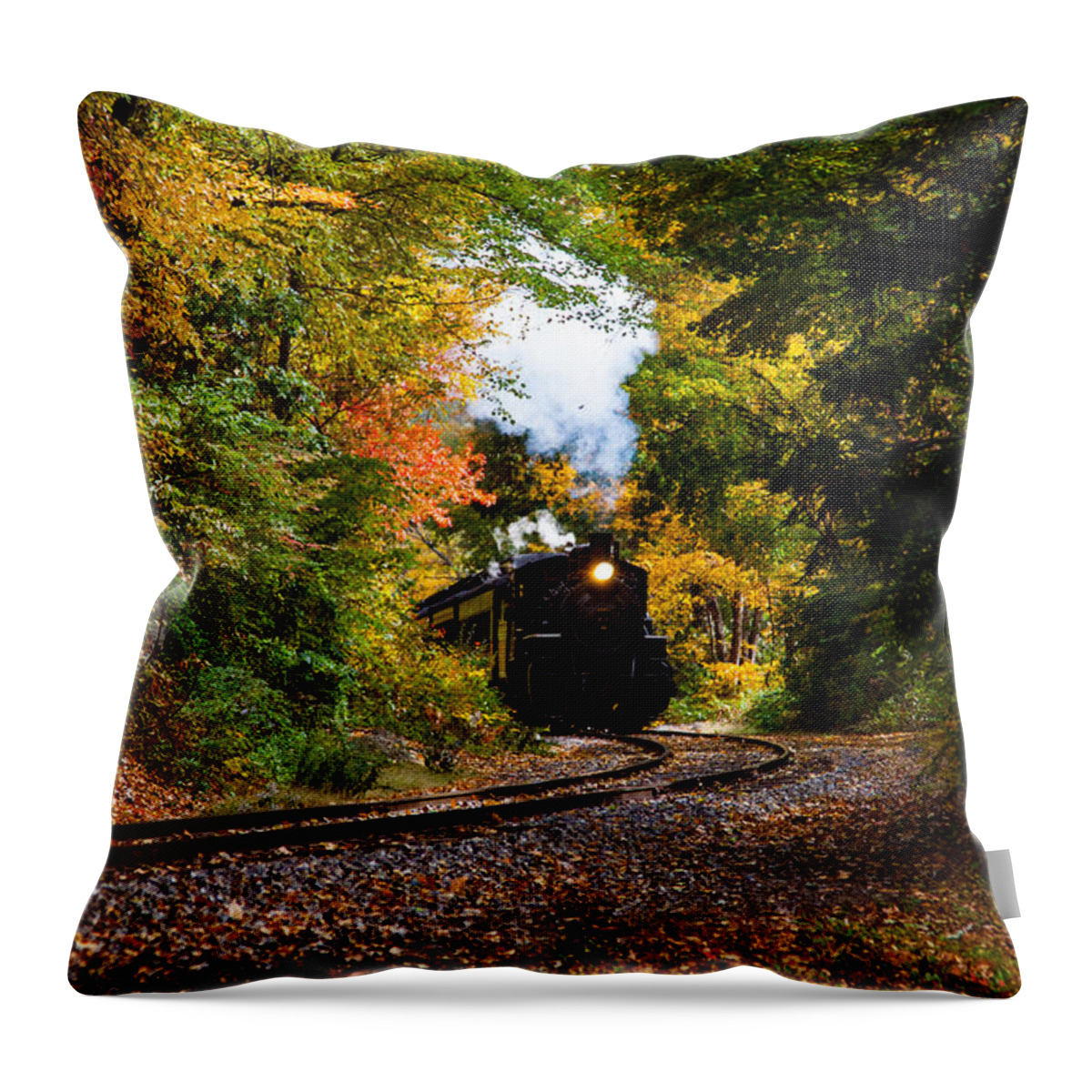 #jefffolger Throw Pillow featuring the photograph The number 40 rounding the bend by Jeff Folger