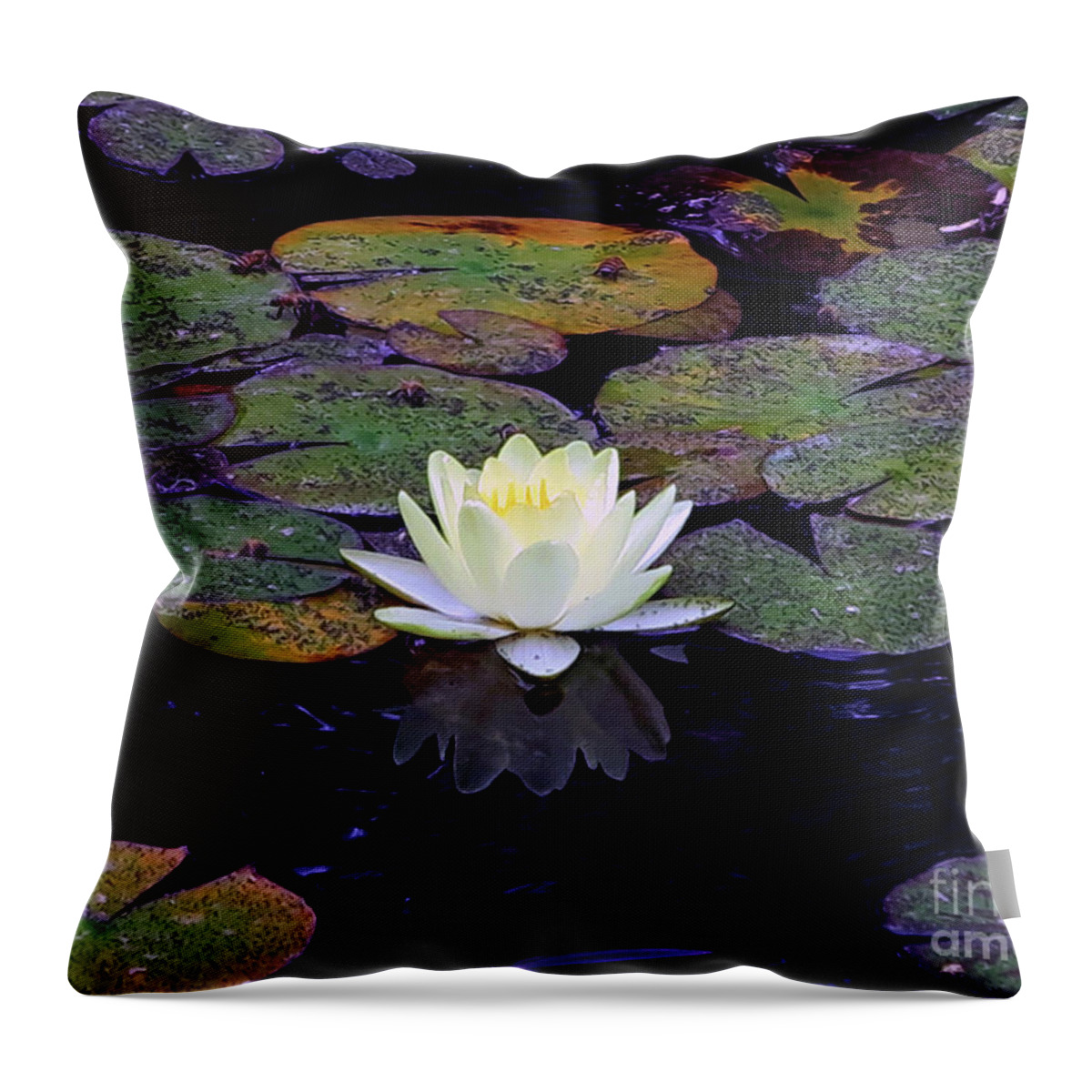 White Water Lily Throw Pillow featuring the photograph The Nymph in the Water by Hazel Vaughn