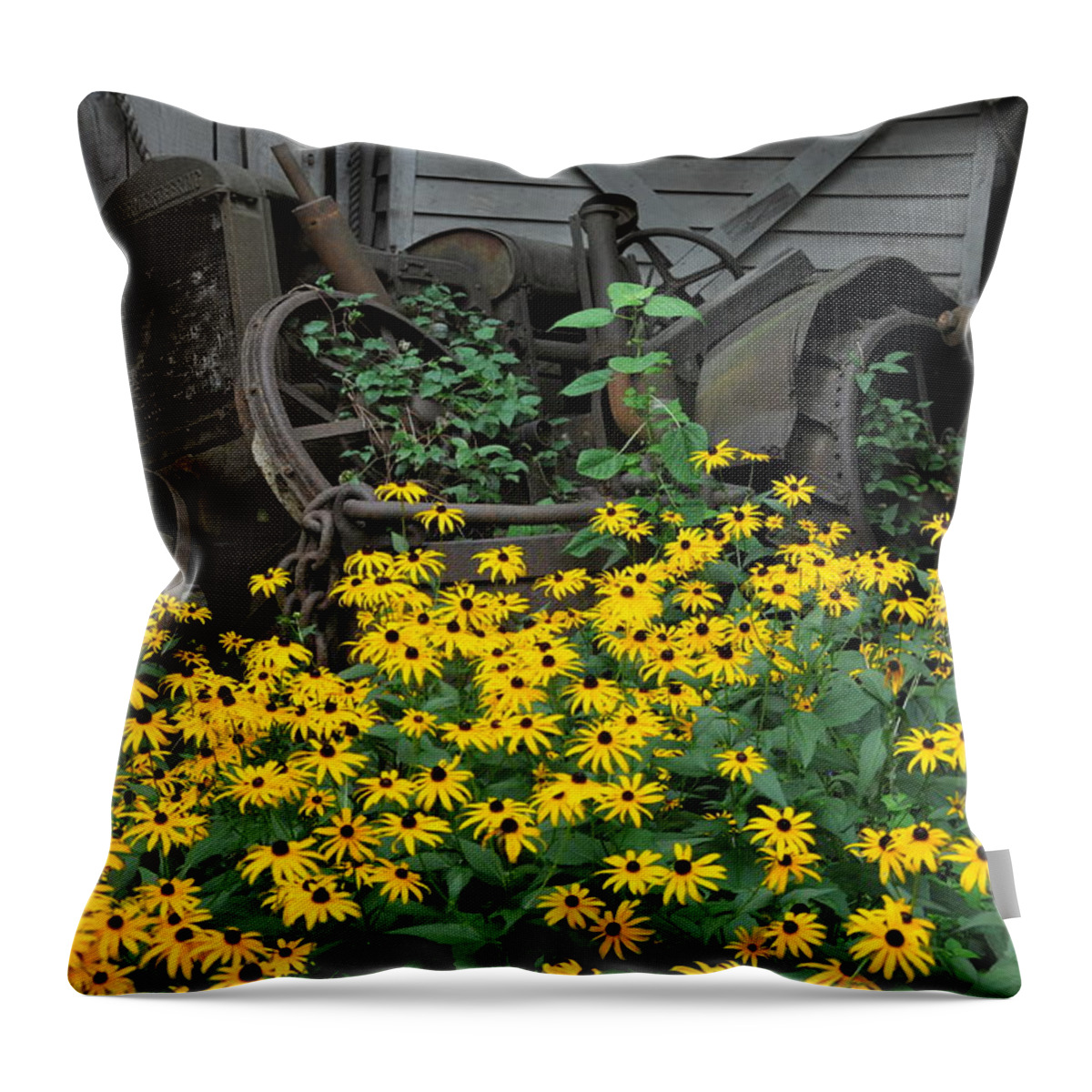 Floral Throw Pillow featuring the photograph The Old And New by Jan Amiss Photography