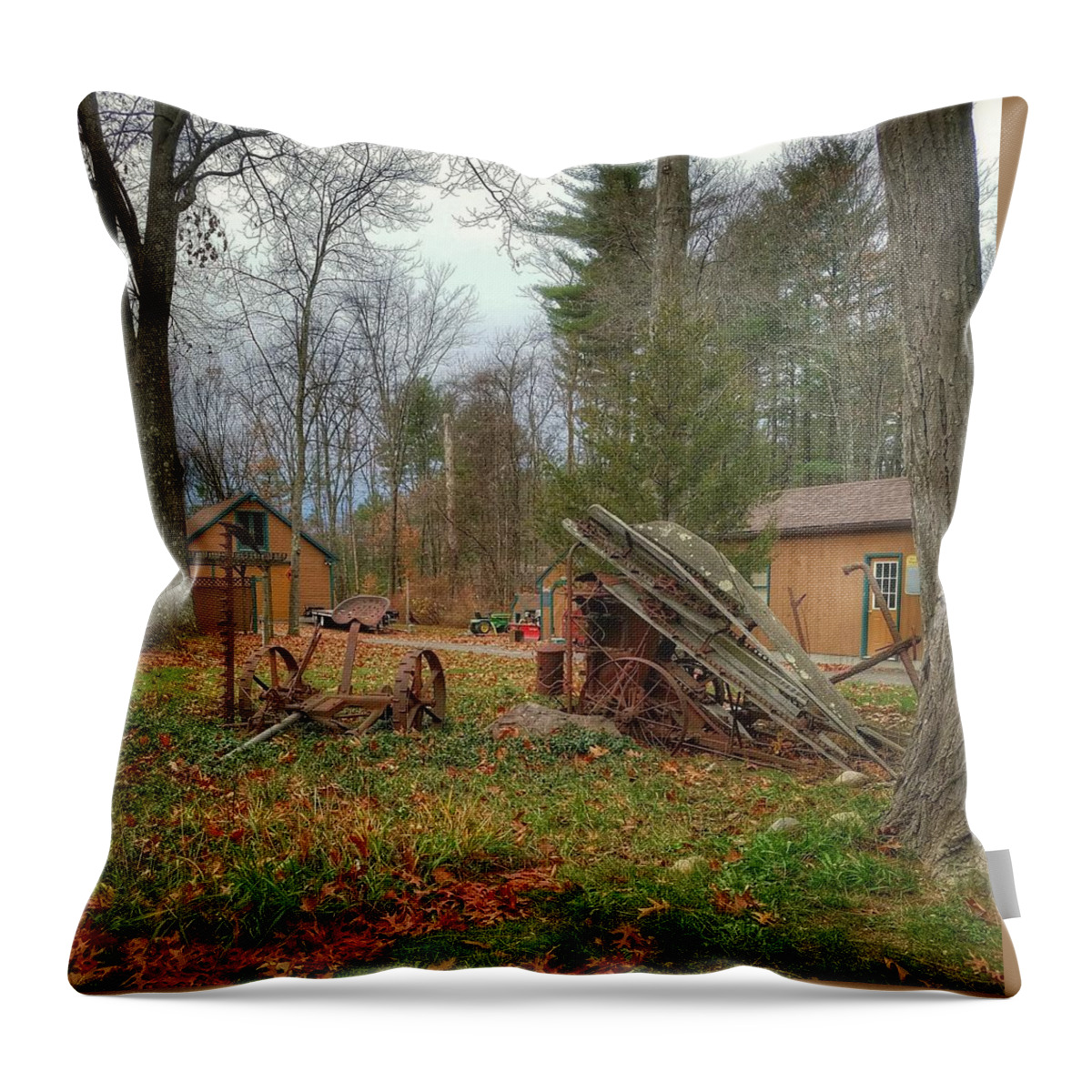 Rust Throw Pillow featuring the photograph The Old Field Tools by Mary Capriole