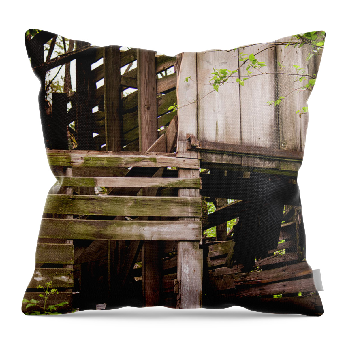 Landscape Throw Pillow featuring the photograph The Old Homestead #5 by Beth Hedley