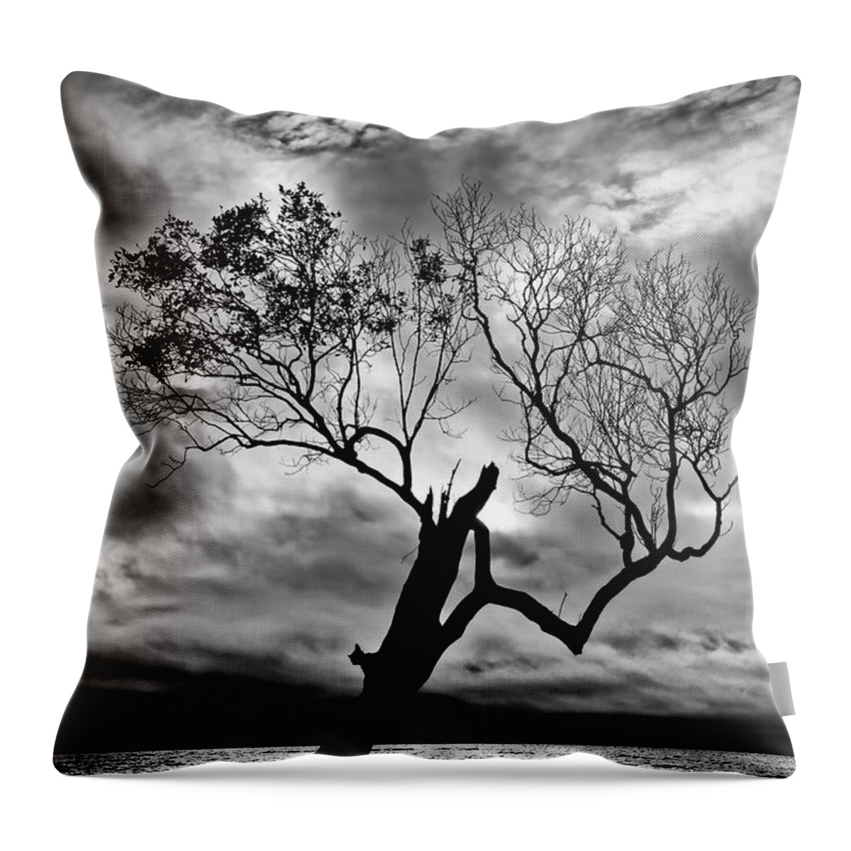 2015 Throw Pillow featuring the photograph The Old Mangrove tree in the Sea by Robert Charity