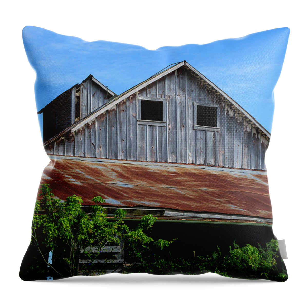 Barn Throw Pillow featuring the photograph The Old Rusty Barn by Terri Morris