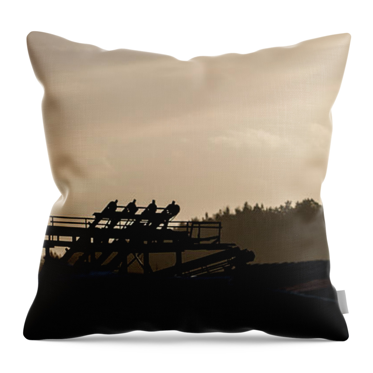 Sawmill Throw Pillow featuring the photograph The Old Sawmill by Torbjorn Swenelius