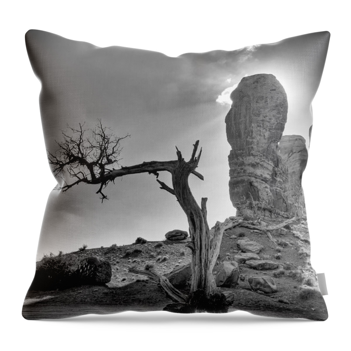 America Throw Pillow featuring the photograph The Old Tree by Andreas Freund