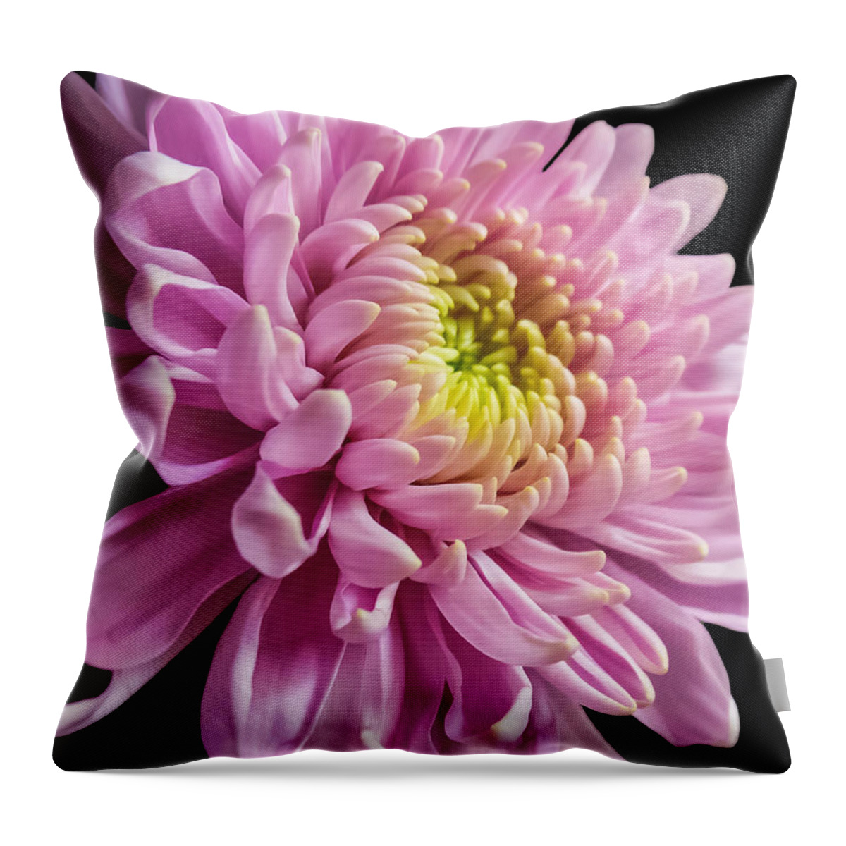 Pink Dahlia Throw Pillow featuring the photograph The One And Only Dahlia by Charlie Cliques