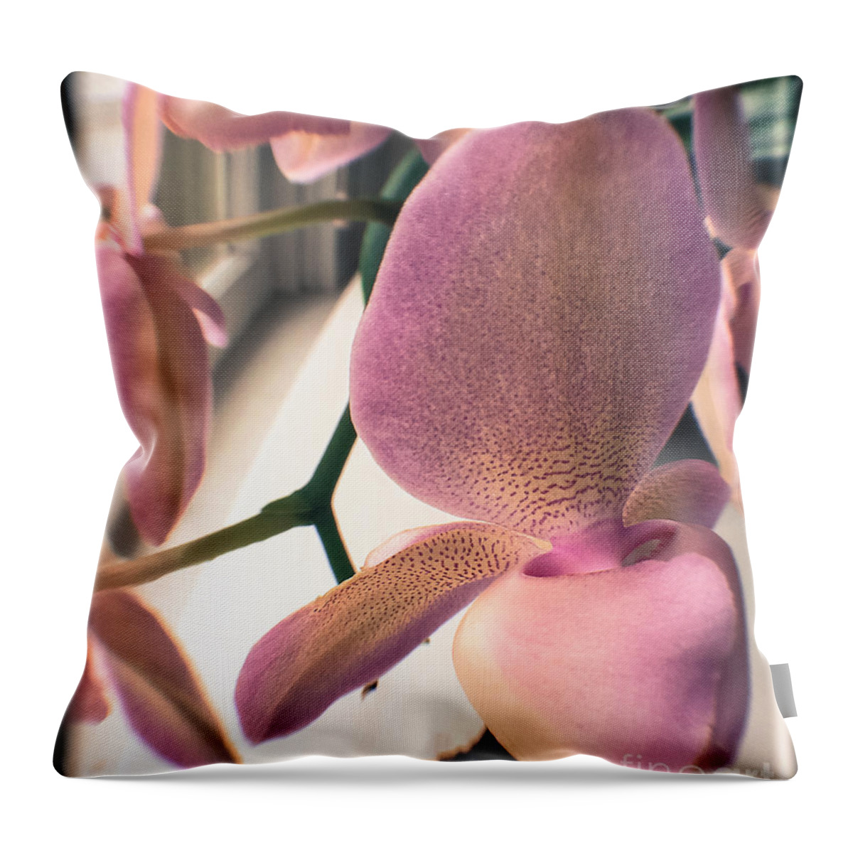 Orchid Throw Pillow featuring the photograph The Orchid by Steven Digman