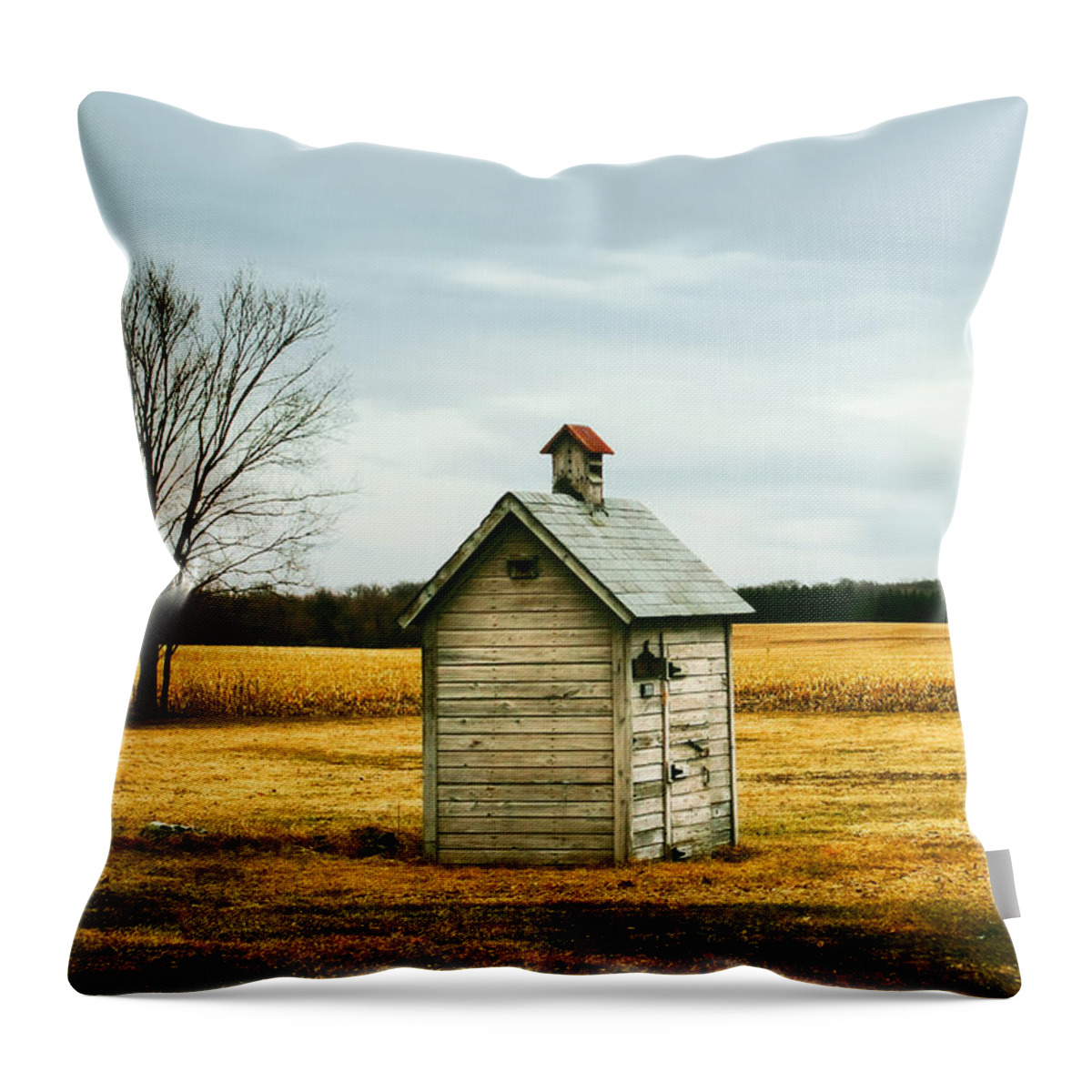 Outhouse Throw Pillow featuring the photograph The Outhouse by Todd Klassy