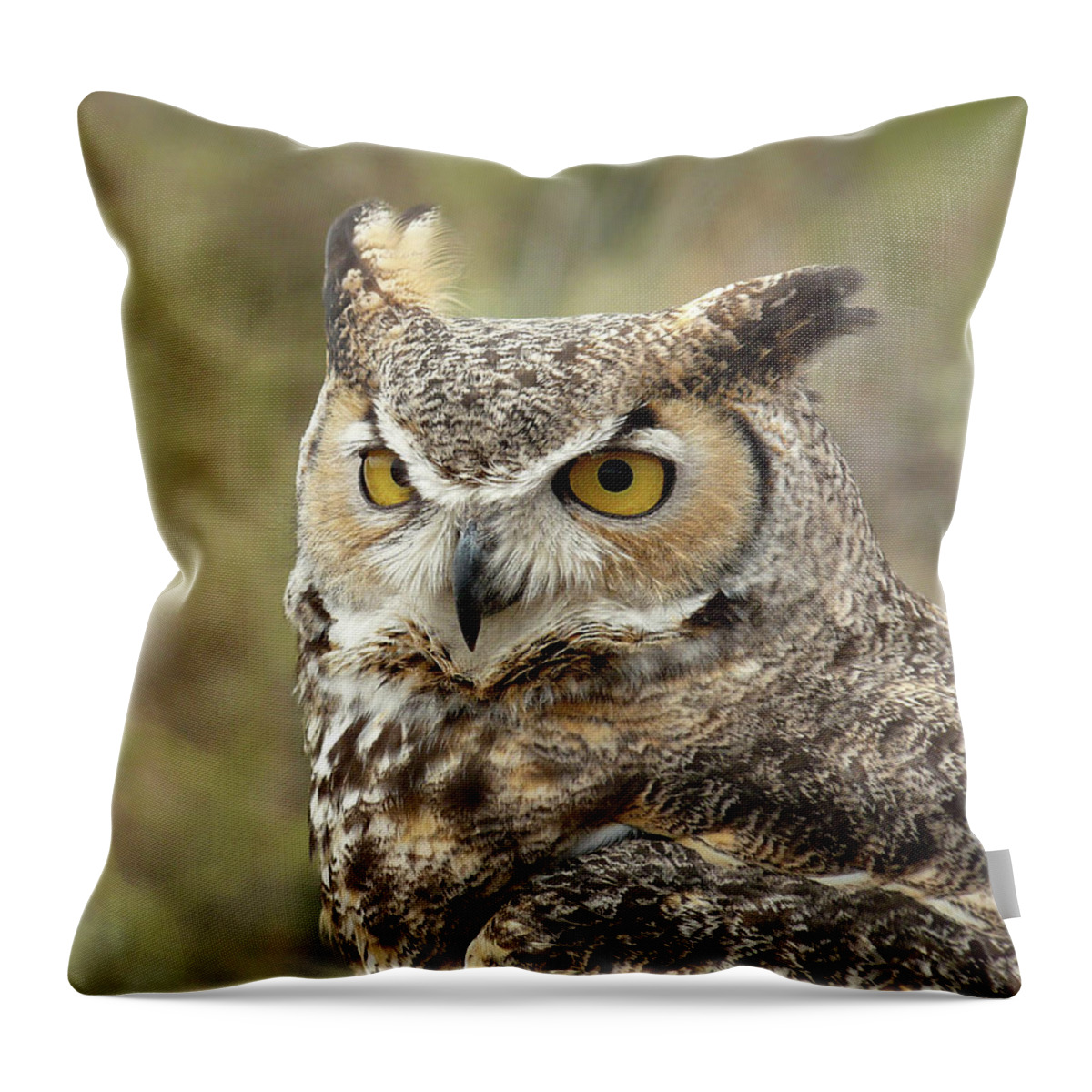 Owl Throw Pillow featuring the photograph The Owl by Lucinda Walter