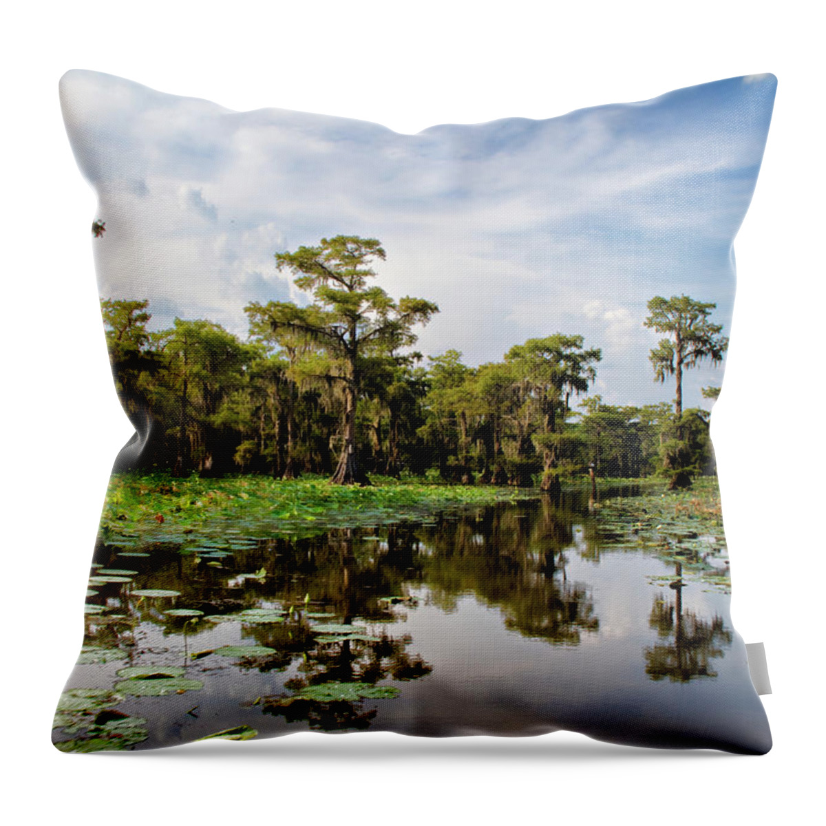 Nelumbo Lutea Throw Pillow featuring the photograph The Path Among by Lana Trussell