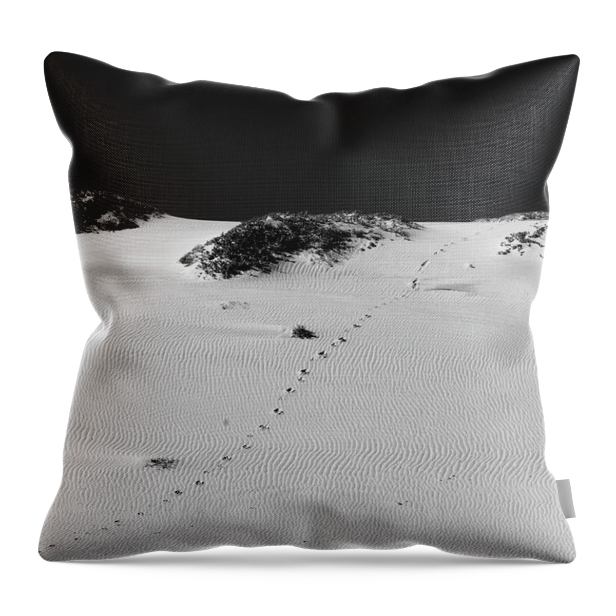 Sand Throw Pillow featuring the photograph The Path - Black and White by David Smith