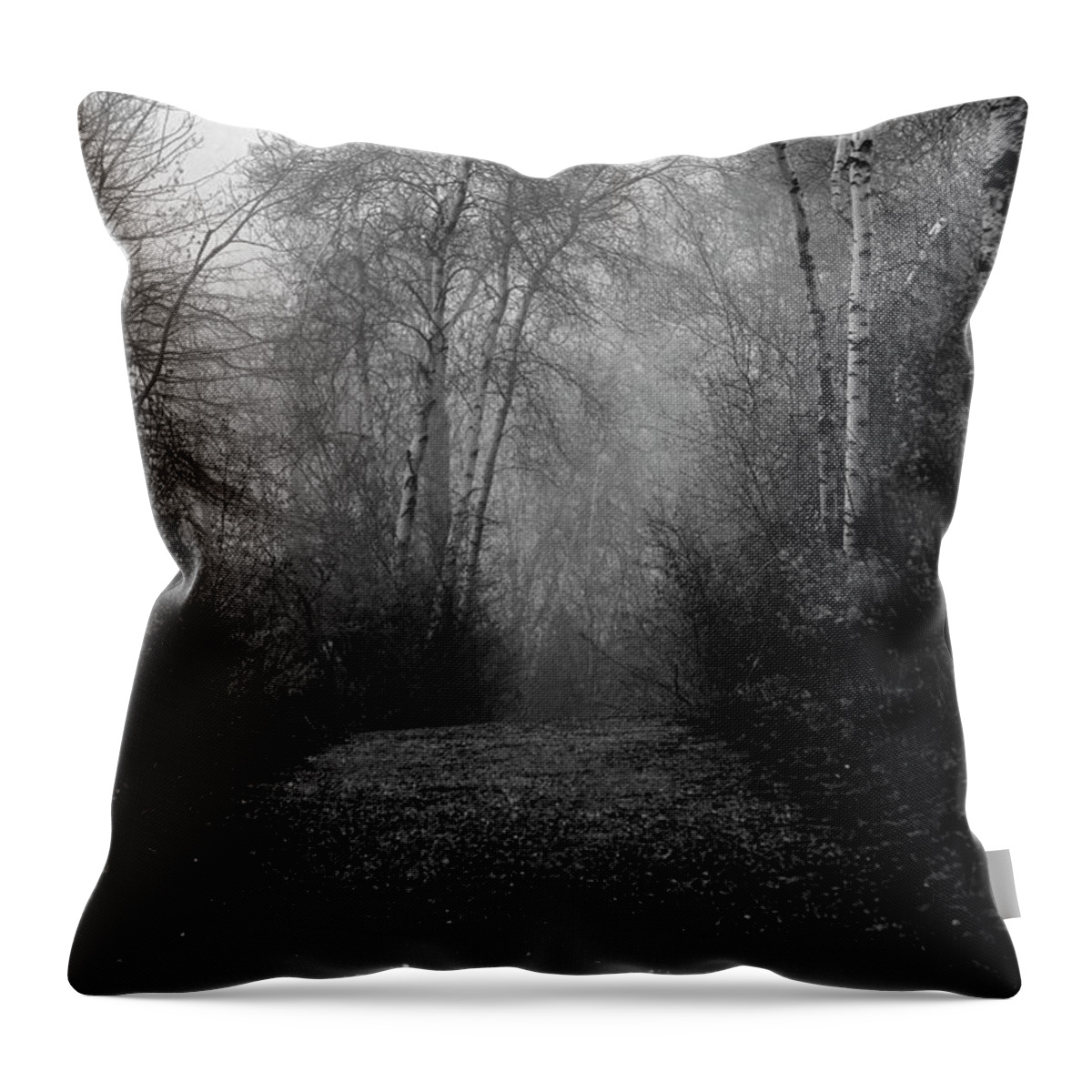 Hiking Throw Pillow featuring the photograph The Path by Joseph Noonan