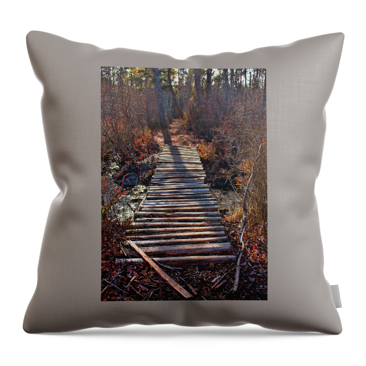 Nj Throw Pillow featuring the photograph The Path Less Traveled by Kristia Adams
