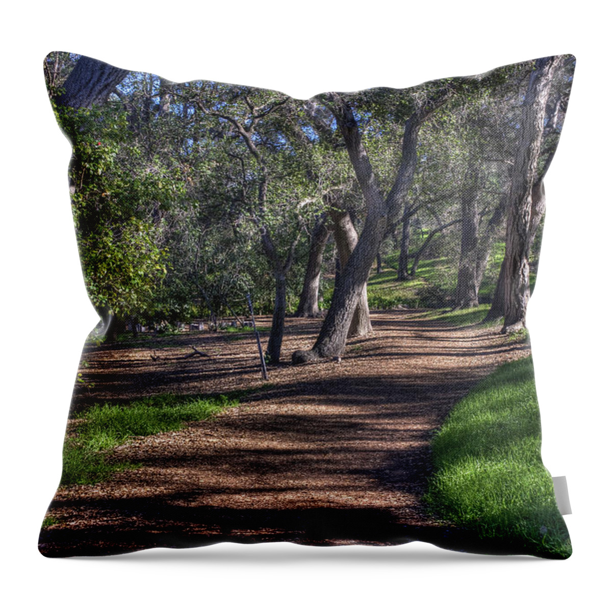 Path Throw Pillow featuring the photograph The Path by Richard J Cassato