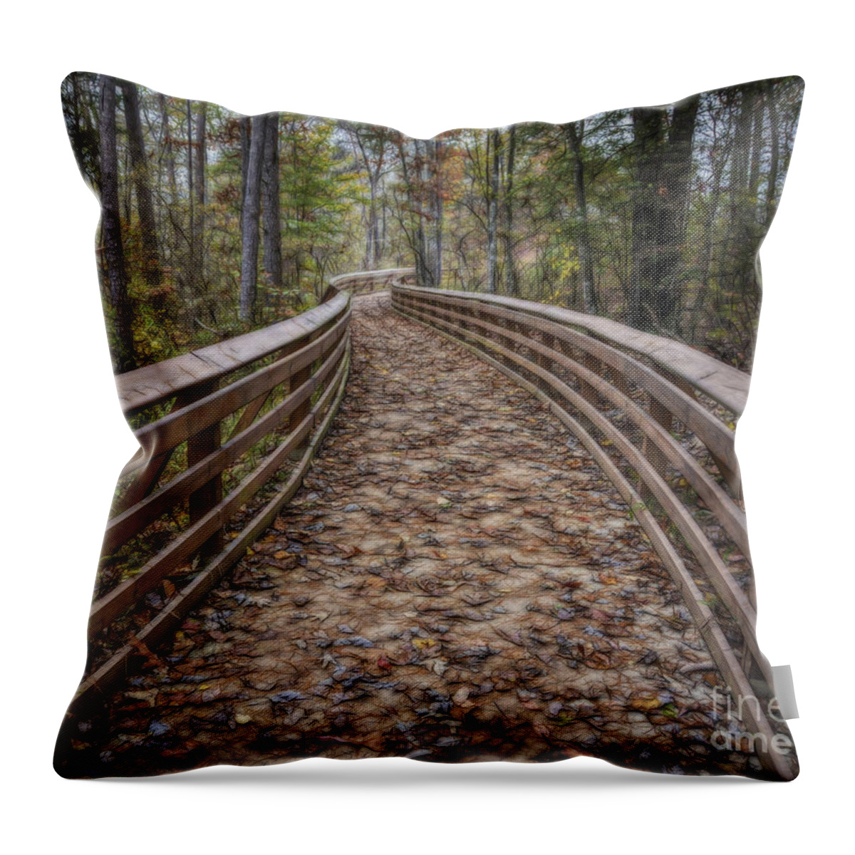 Pathway Throw Pillow featuring the photograph The Path That Leads by Ken Johnson