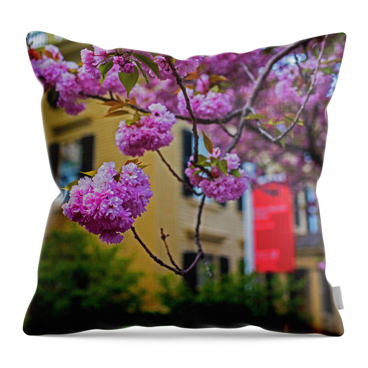 Salem Throw Pillow featuring the photograph The Peabody Essex Museum at Spring Salem MA by Toby McGuire