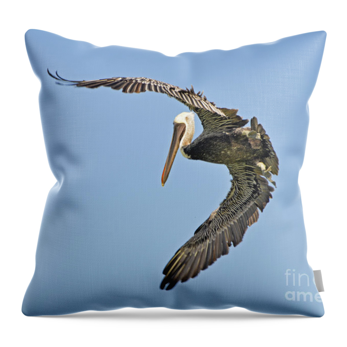 Pelicano Throw Pillow featuring the photograph The Pelicano Hug by PatriZio M Busnel