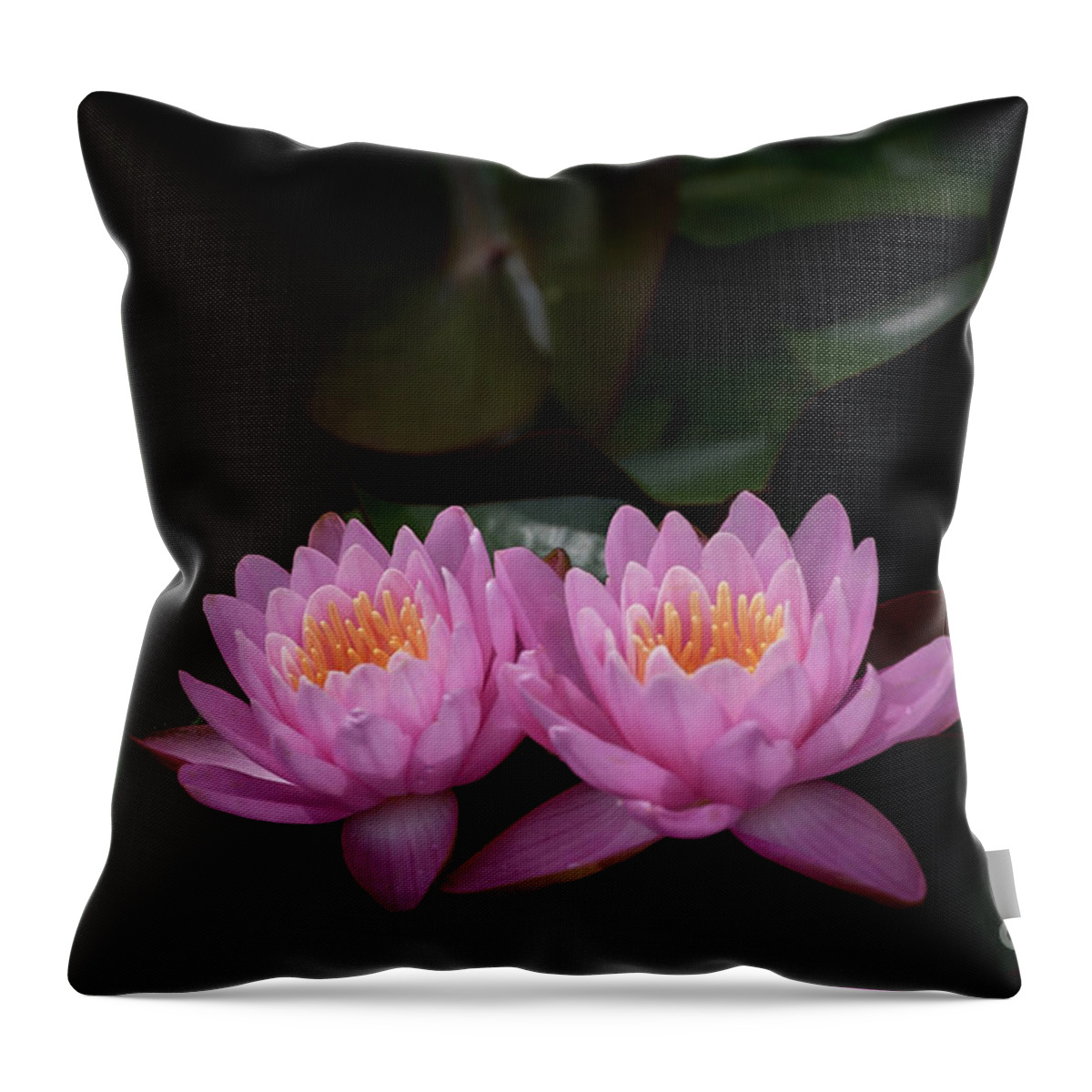Flower Throw Pillow featuring the photograph The Perfect Couple by Andrea Silies