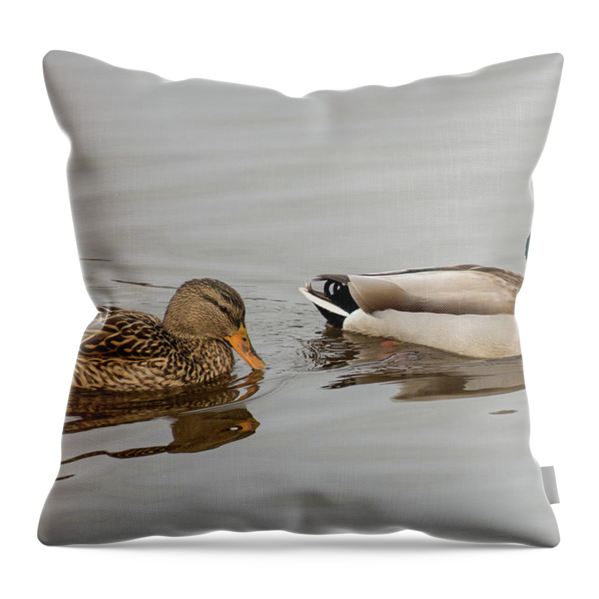 Bird Throw Pillow featuring the photograph The Perfect Pair by Jody Partin