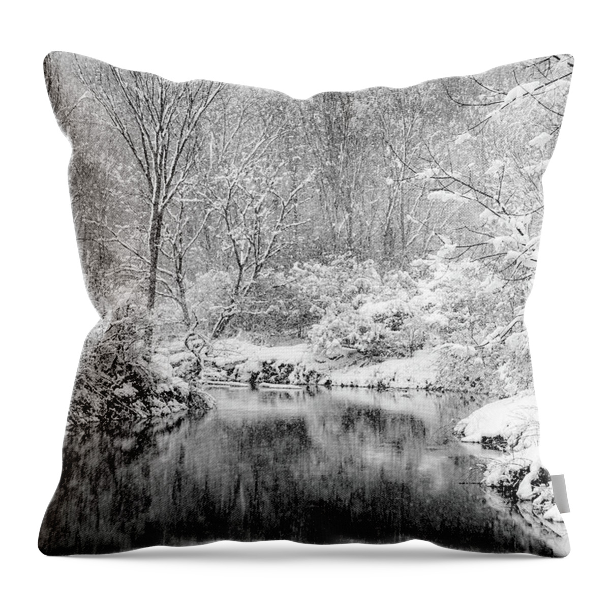  Throw Pillow featuring the photograph A Perfect Storm by Kendall McKernon