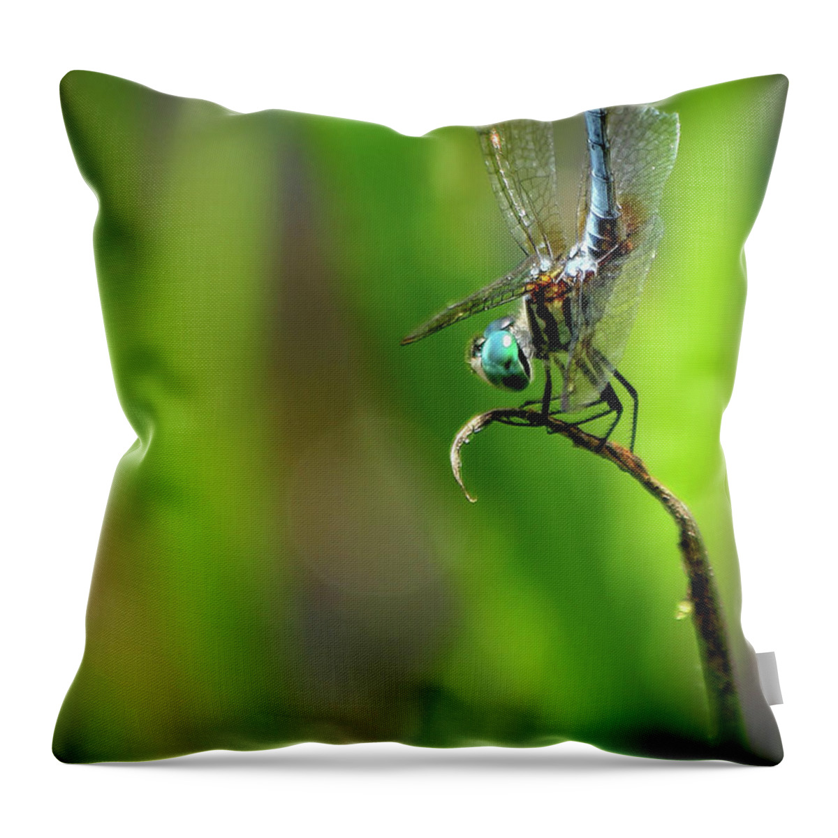 Reid Callaway Dragonfly Art Throw Pillow featuring the photograph The Performer Dragonfly Art by Reid Callaway