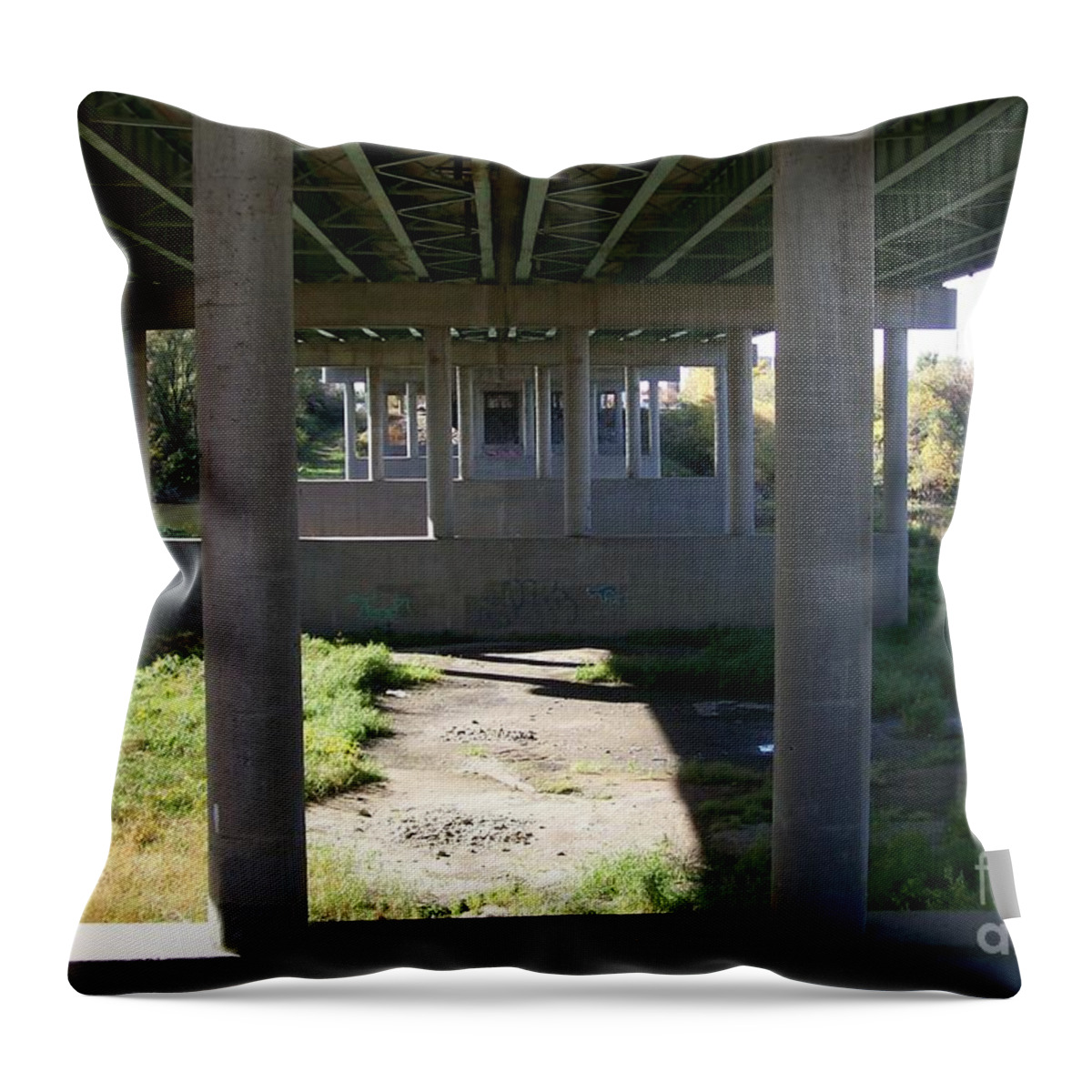 Landscape Throw Pillow featuring the photograph The Portal by Stephen King