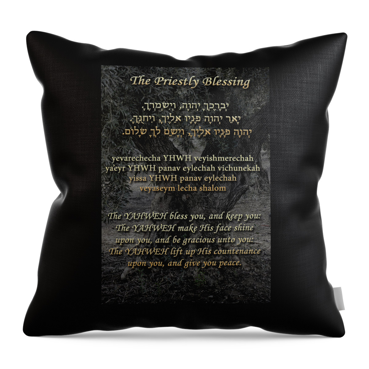 Blessing Throw Pillow featuring the photograph The Priestly Blessing Olive Tree by Tikvah's Hope