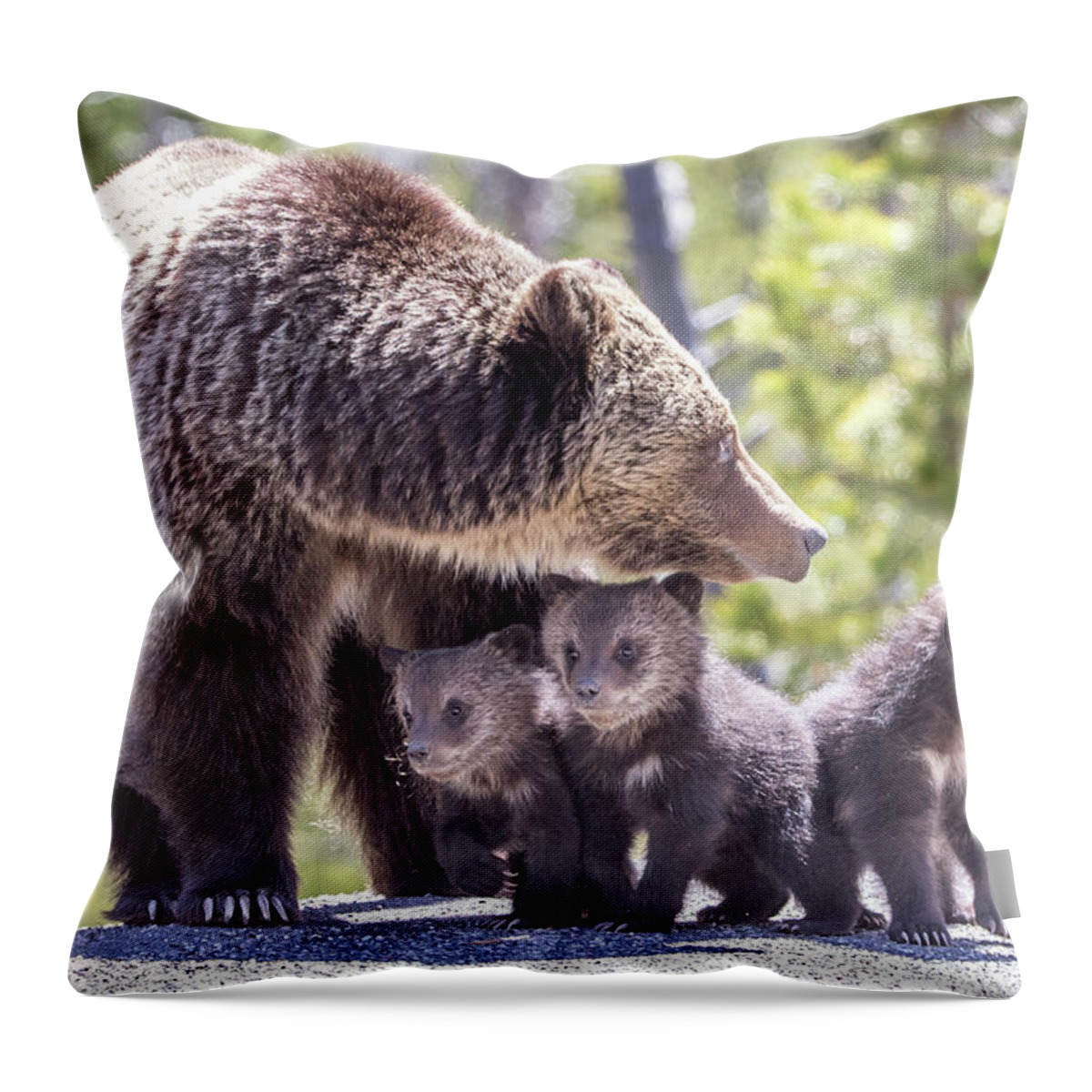 Yellowstone Throw Pillow featuring the photograph The Protector by Kevin Dietrich