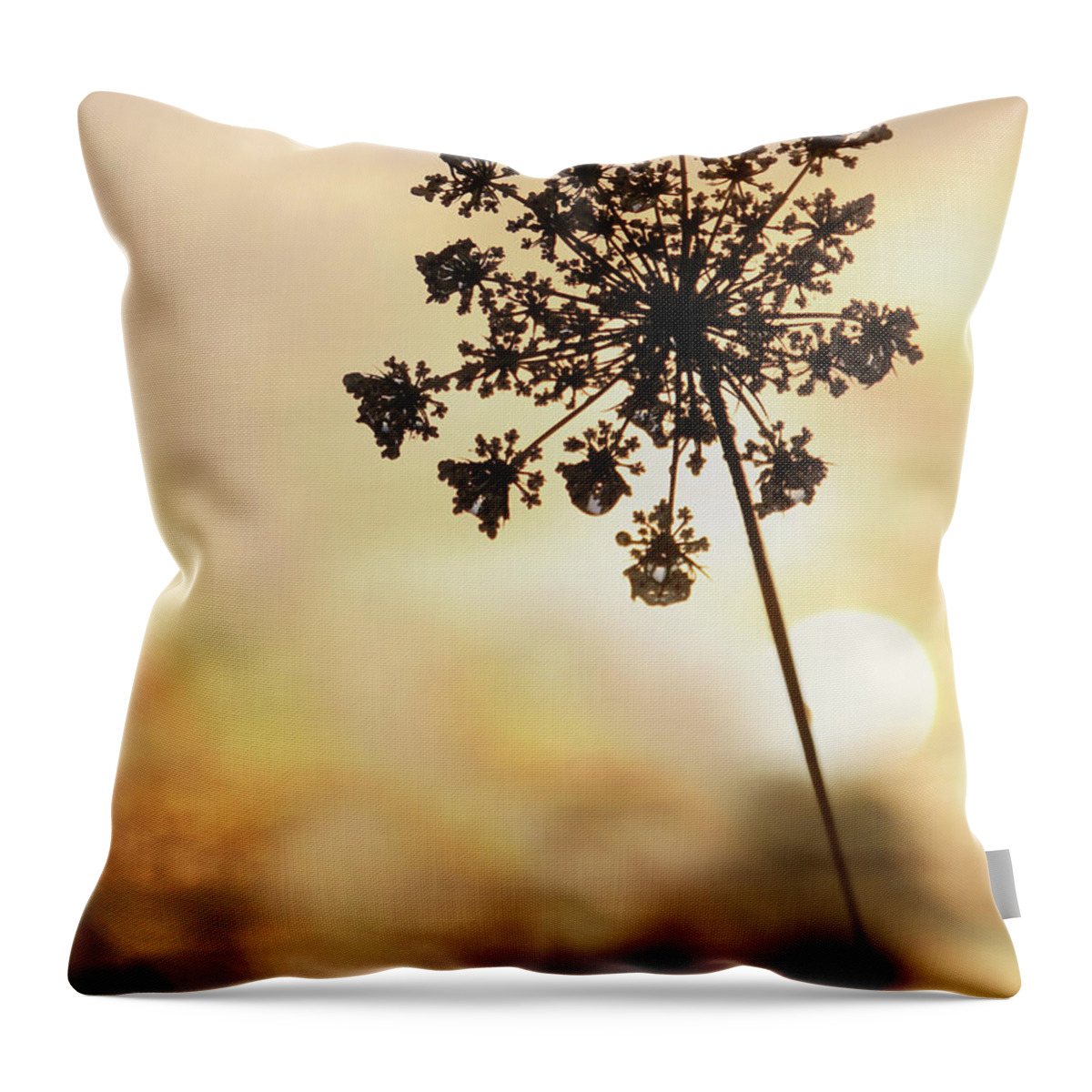 Flower Throw Pillow featuring the photograph The Queen at Sunrise by Lori Deiter