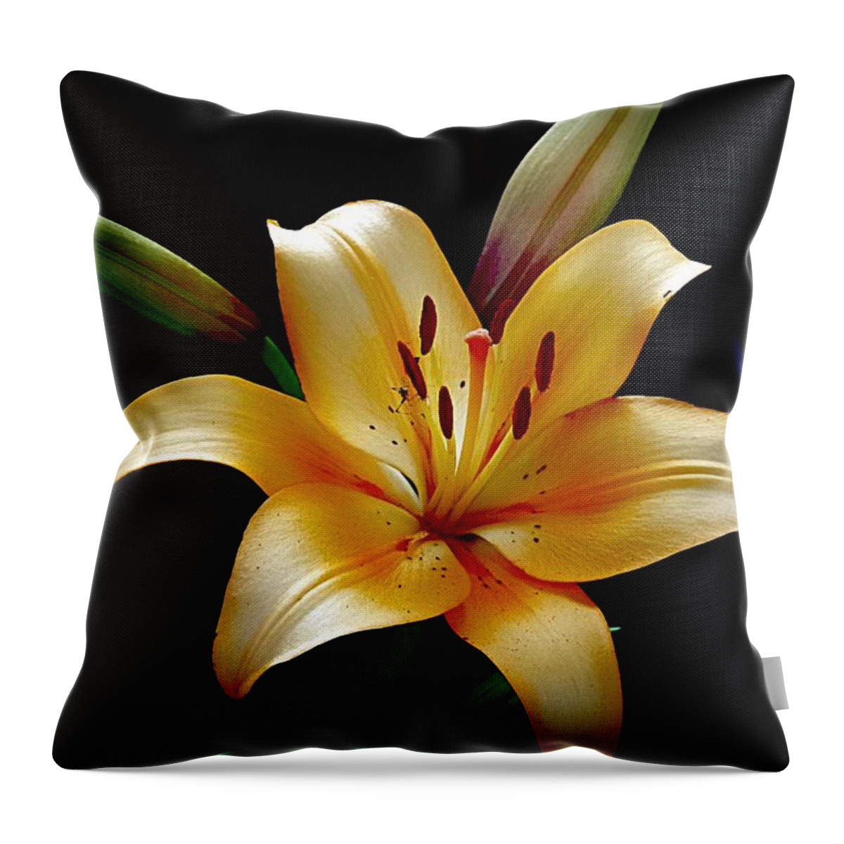 Orange Lily Throw Pillow featuring the photograph The Queen Lily by Karen McKenzie McAdoo
