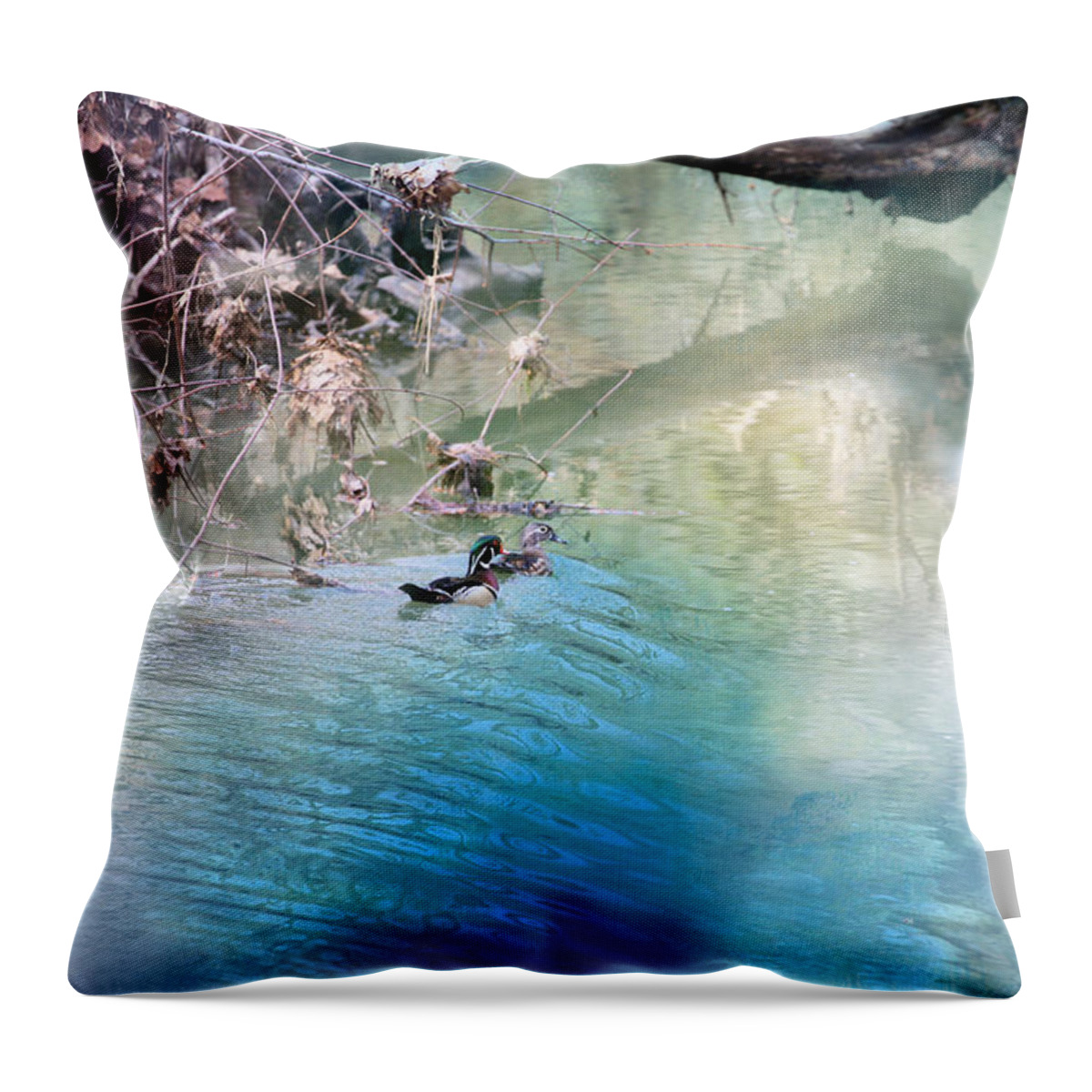 Ducks Throw Pillow featuring the photograph The Rainbow Reflection by Theresa Campbell