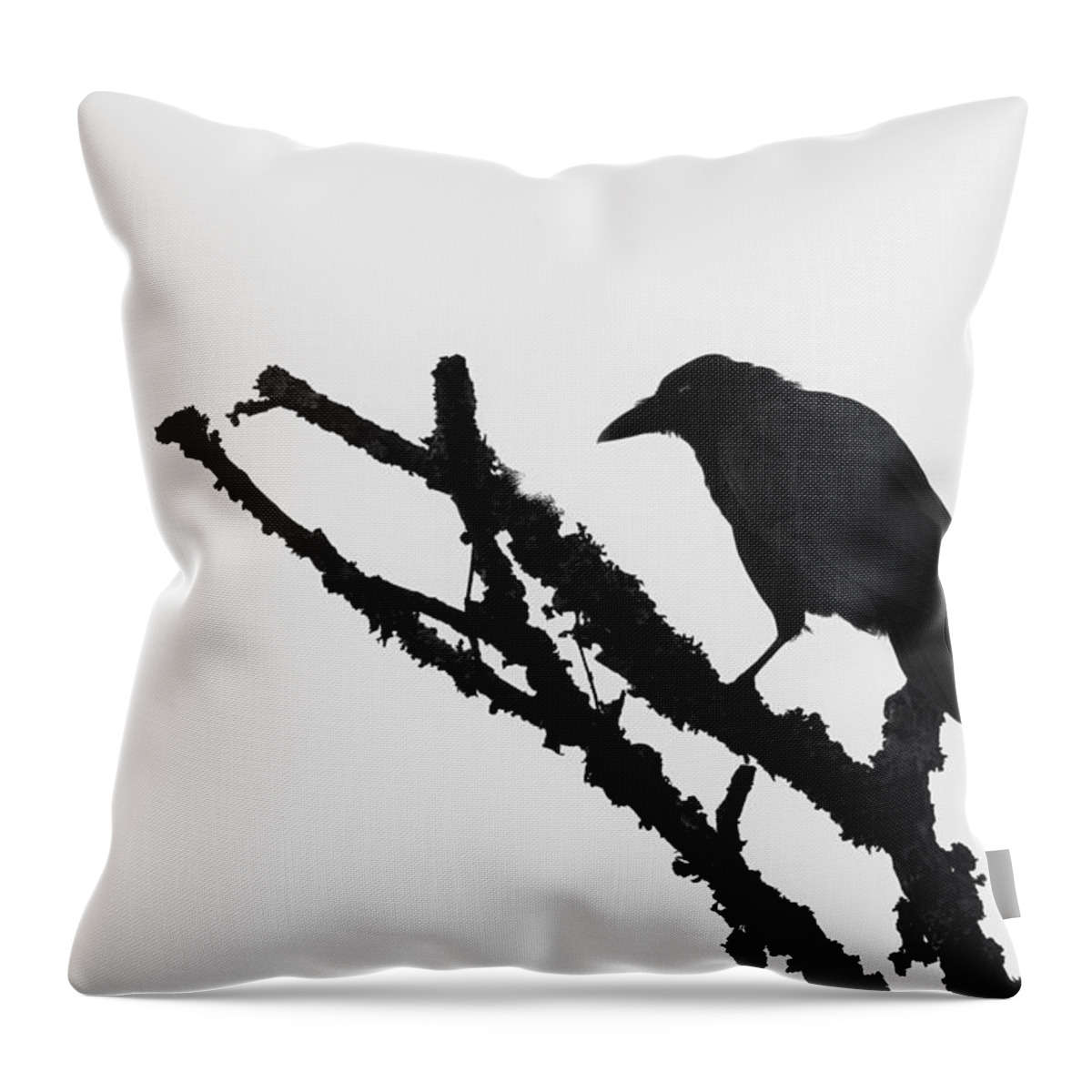 Rave Throw Pillow featuring the photograph The Raven by Ken Barrett