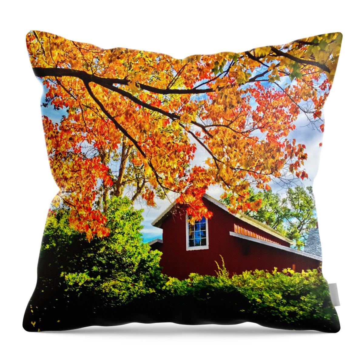 Barn Throw Pillow featuring the photograph The Red Barn by Brad Hodges