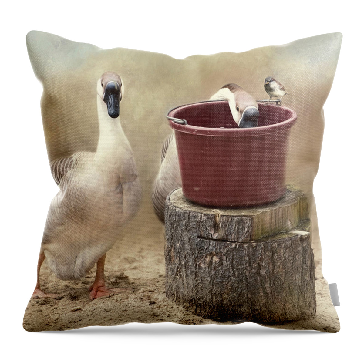 Geese Throw Pillow featuring the photograph The Red Bucket by Robin-Lee Vieira