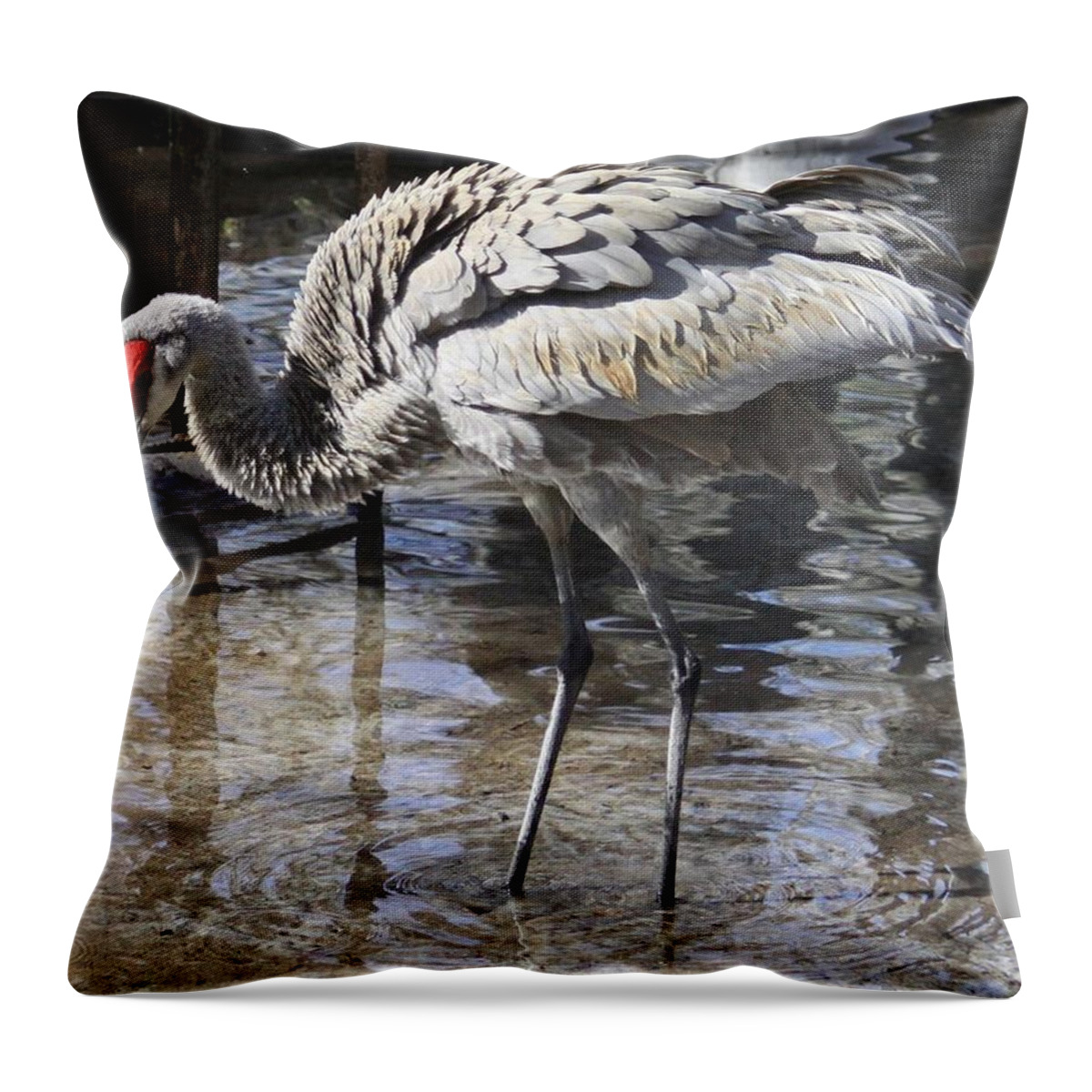 Sanibel Throw Pillow featuring the mixed media The Red Head by Philip And Robbie Bracco