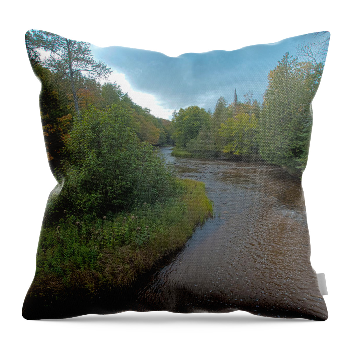 River Throw Pillow featuring the photograph The River by Steven Dunn