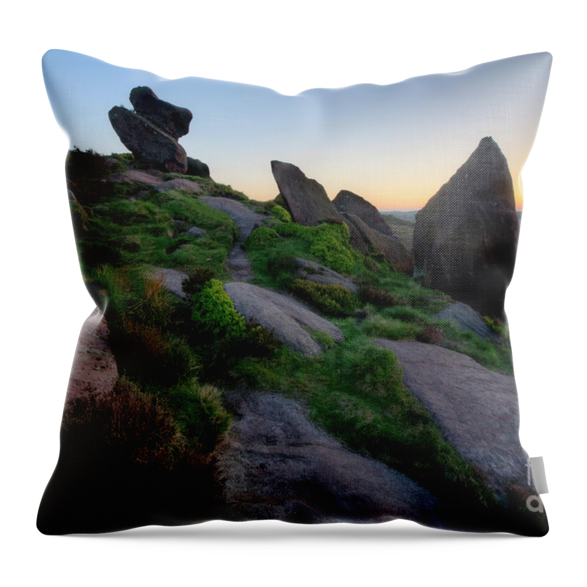 Photography Throw Pillow featuring the photograph The Roaches 3.0 by Yhun Suarez