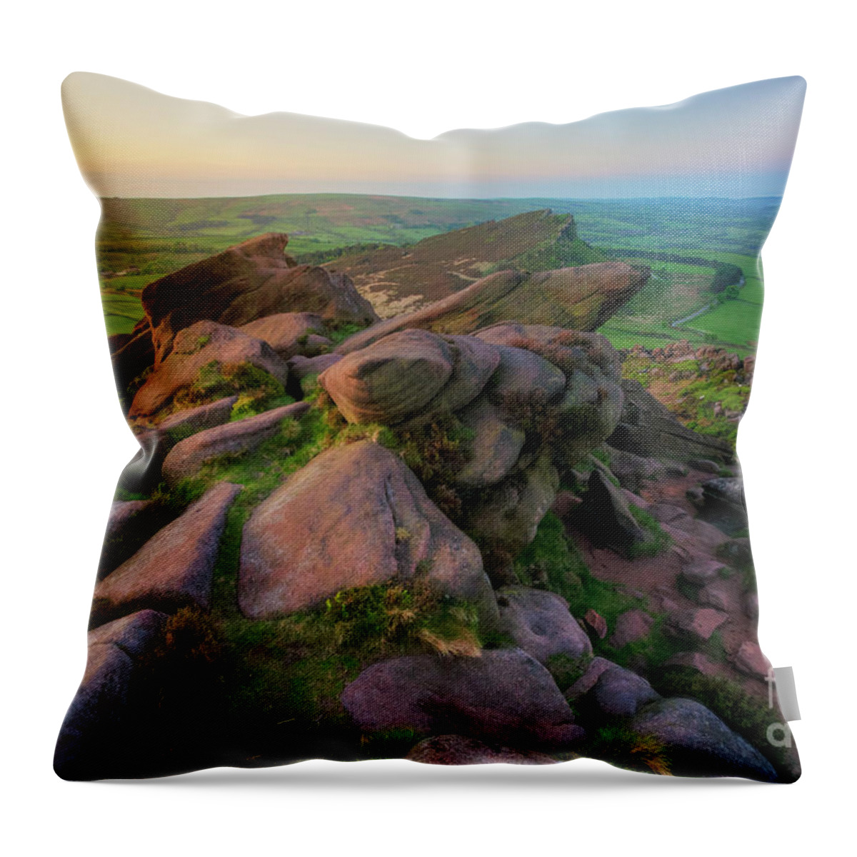 Photography Throw Pillow featuring the photograph The Roaches 4.0 by Yhun Suarez