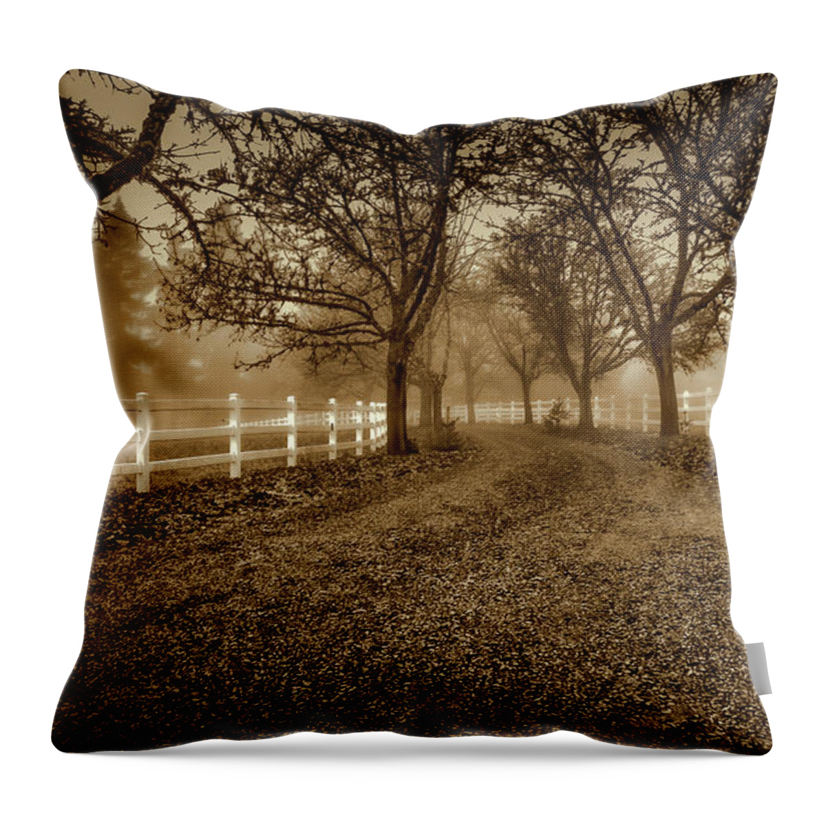 Country Road Throw Pillow featuring the photograph The Road Less Traveled by Don Schwartz