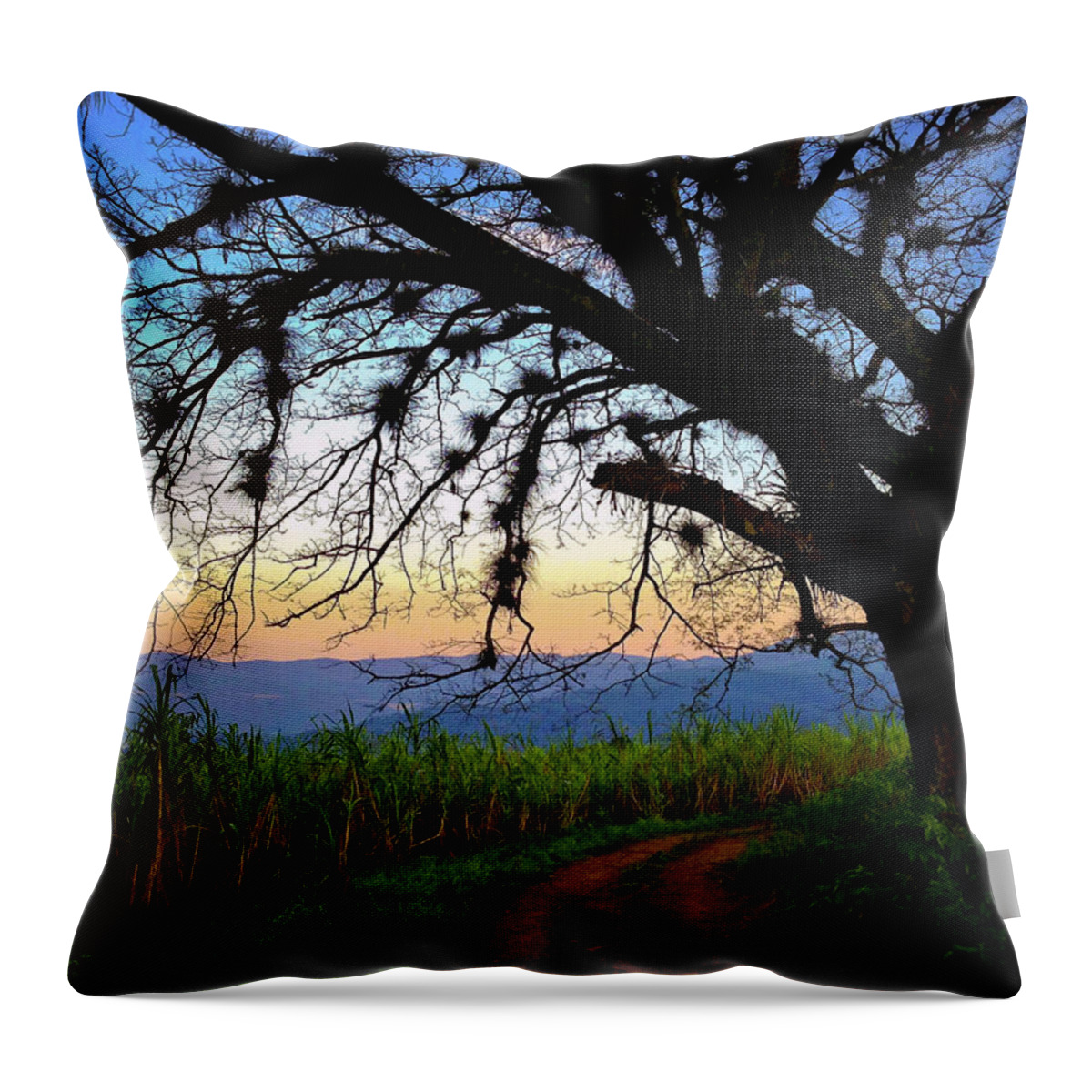 The Road Less Traveled Throw Pillow featuring the photograph The Road Less Traveled by Skip Hunt