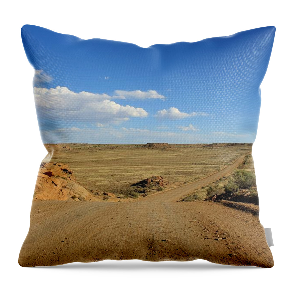 The Throw Pillow featuring the photograph The Road To Chaco by Elizabeth Sullivan