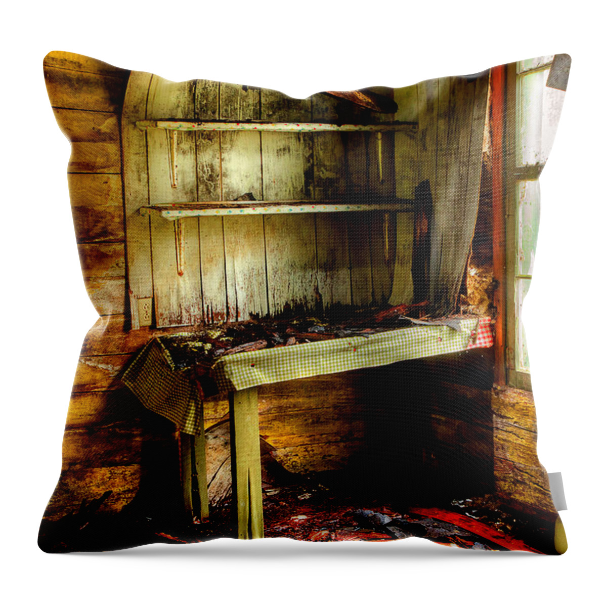Deserted Home Throw Pillow featuring the photograph The Roof Is Falling by Michael Eingle