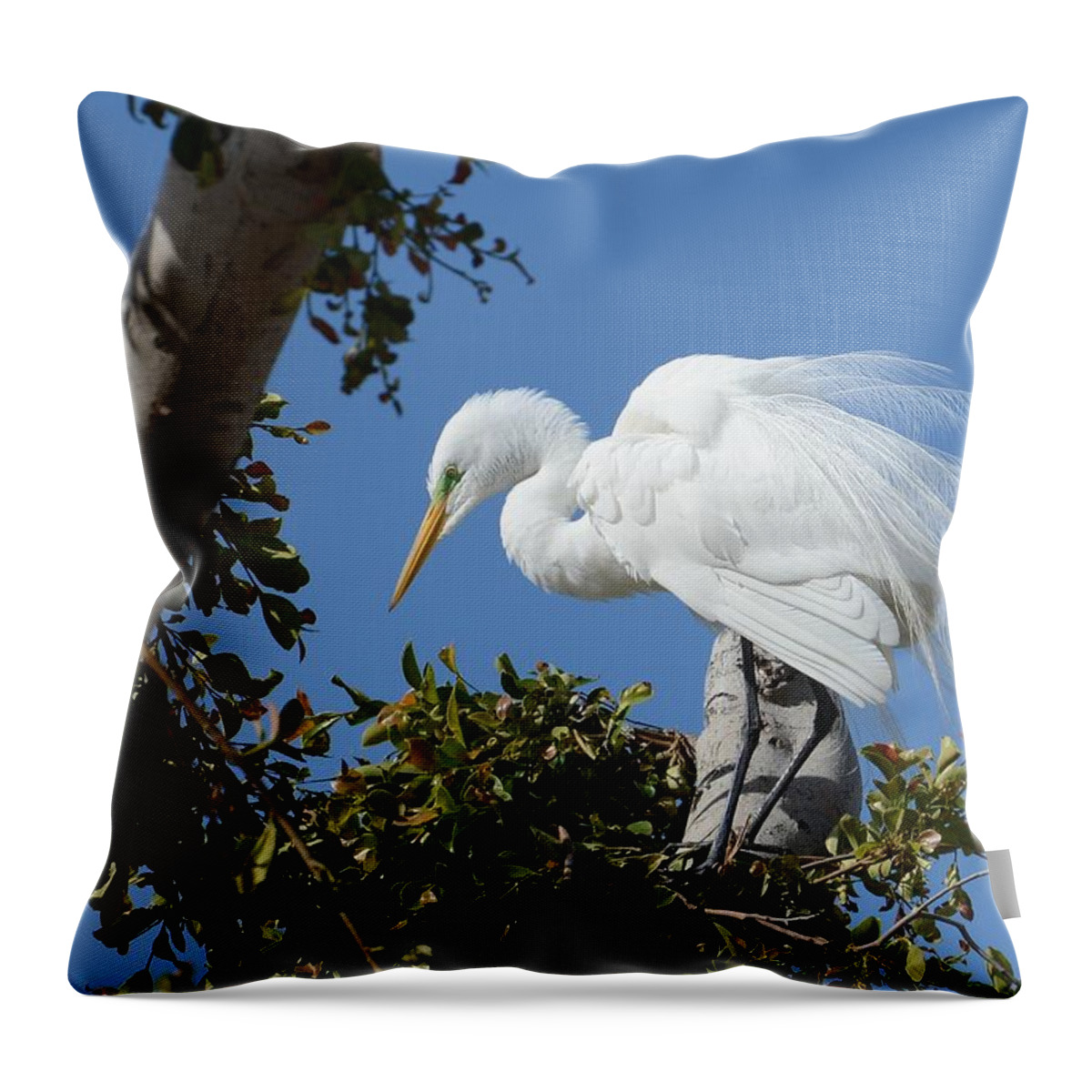 Great White Egret Throw Pillow featuring the photograph The Roost by Fraida Gutovich