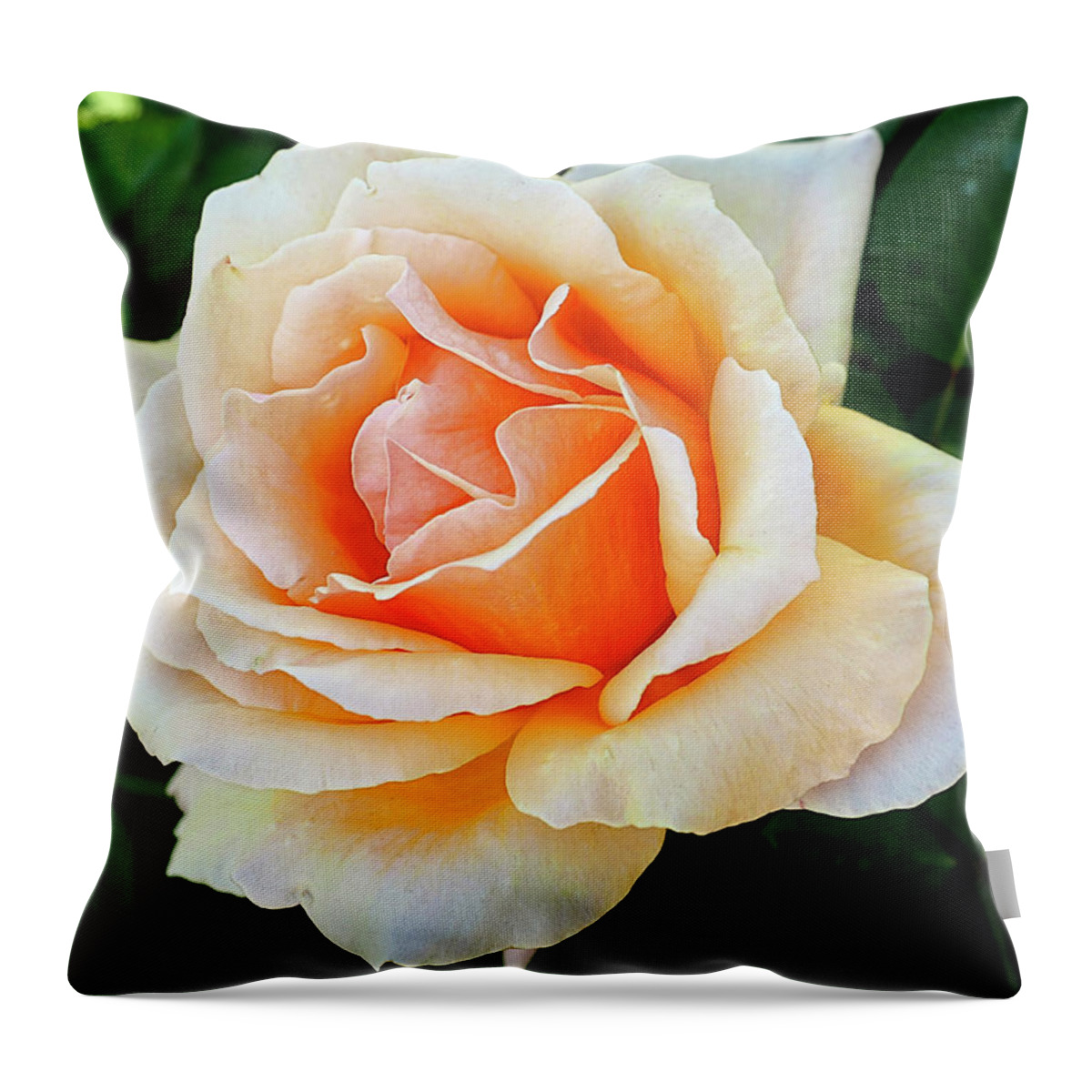 Rebecca Dru Throw Pillow featuring the photograph THE ROSE of BLOSSOMING LOVE by Rebecca Dru