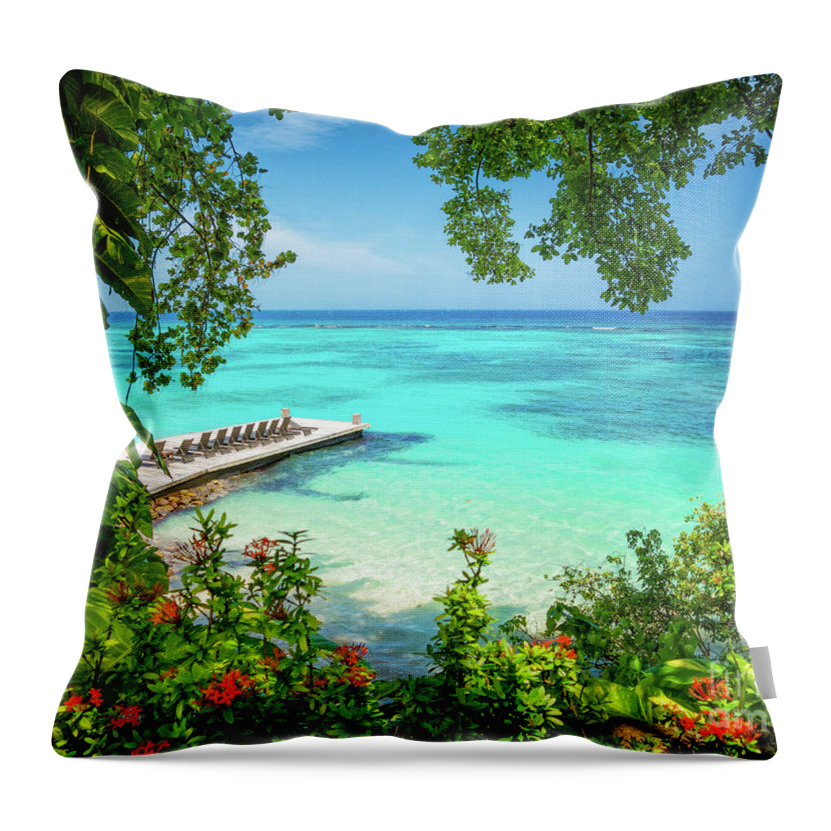 Ocean Throw Pillow featuring the photograph The Salty Heart by Becqi Sherman