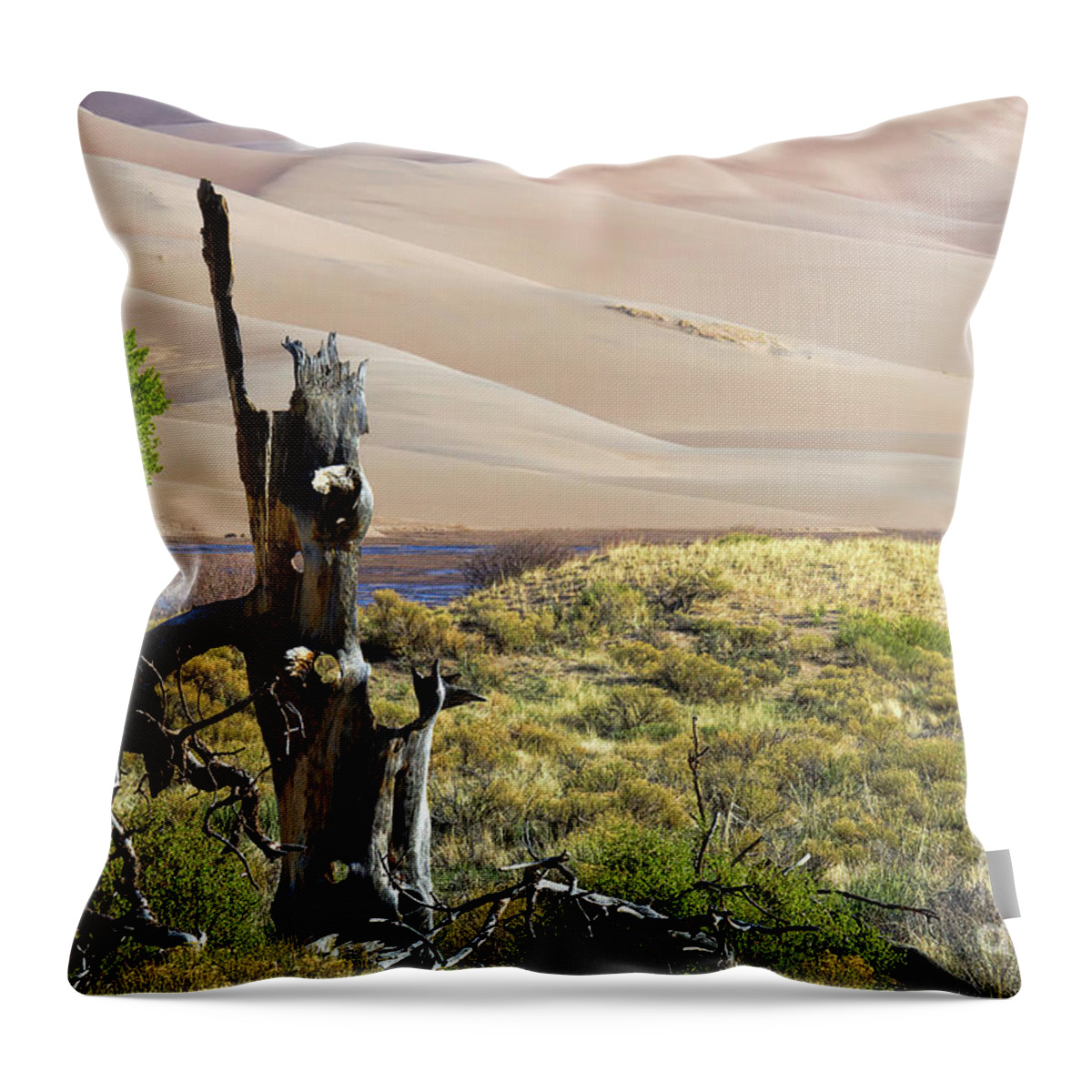 Great Sand Dunes National Park Throw Pillow featuring the photograph The Sands of Time by Jim Garrison