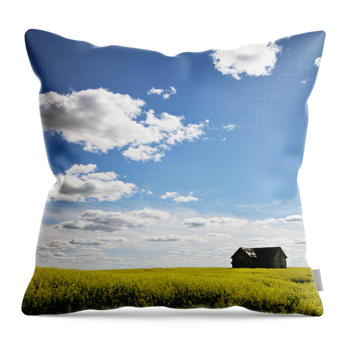 Canola Throw Pillow featuring the photograph The Saskatchewan Prairies II by Ryan Crouse