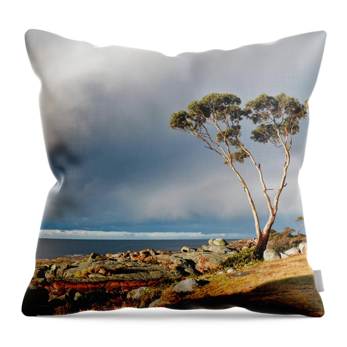 Storm Throw Pillow featuring the photograph The Sea and the Sky by Nicholas Blackwell