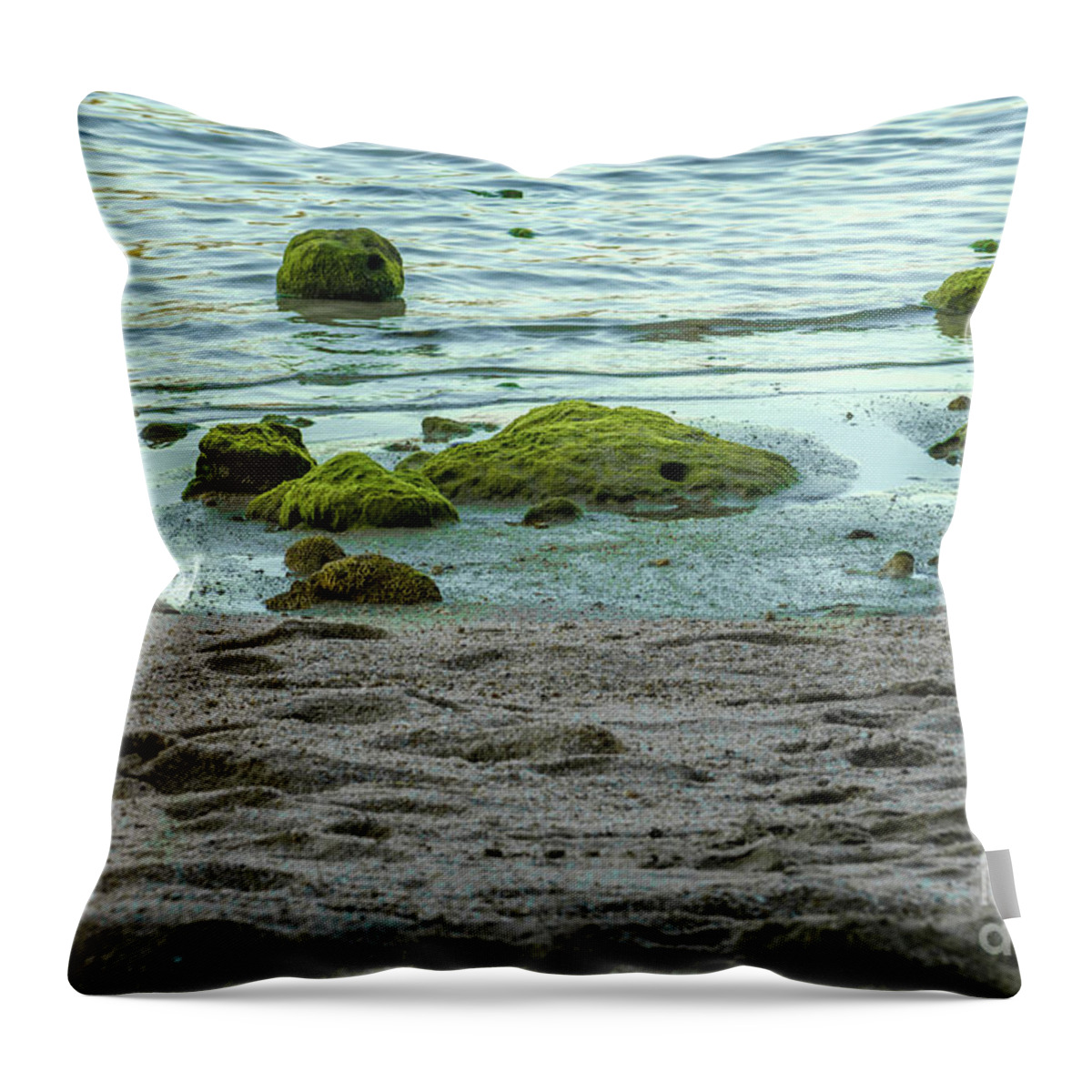 Michelle Meenawong Throw Pillow featuring the photograph The Seashore by Michelle Meenawong