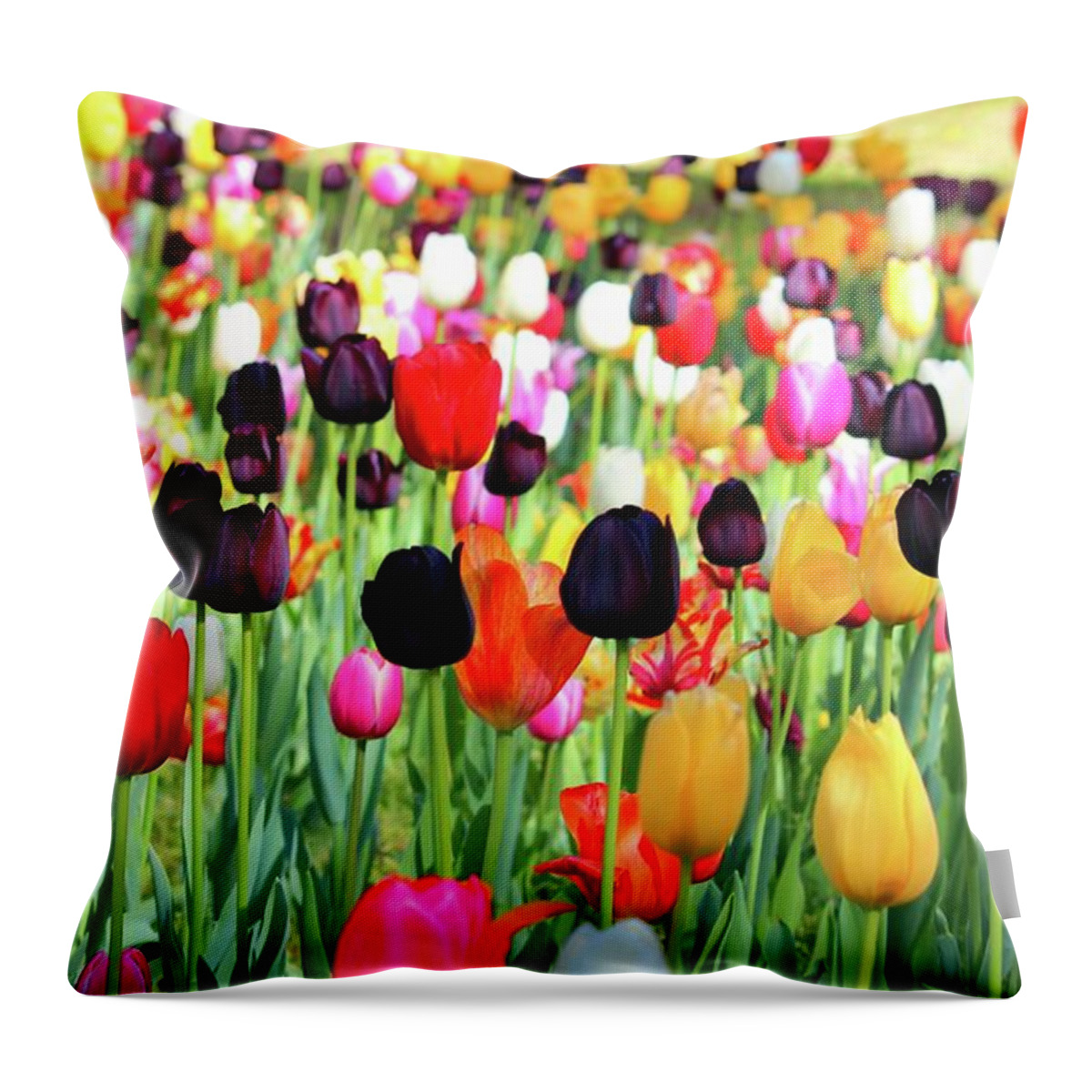 Tulip Throw Pillow featuring the photograph The Season Of Tulips by Cynthia Guinn